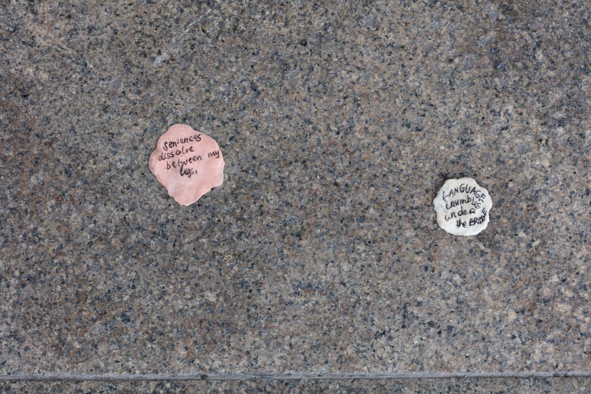 Leda Bourgogone and Mira Schor, "Blood of a Poet," Install 9