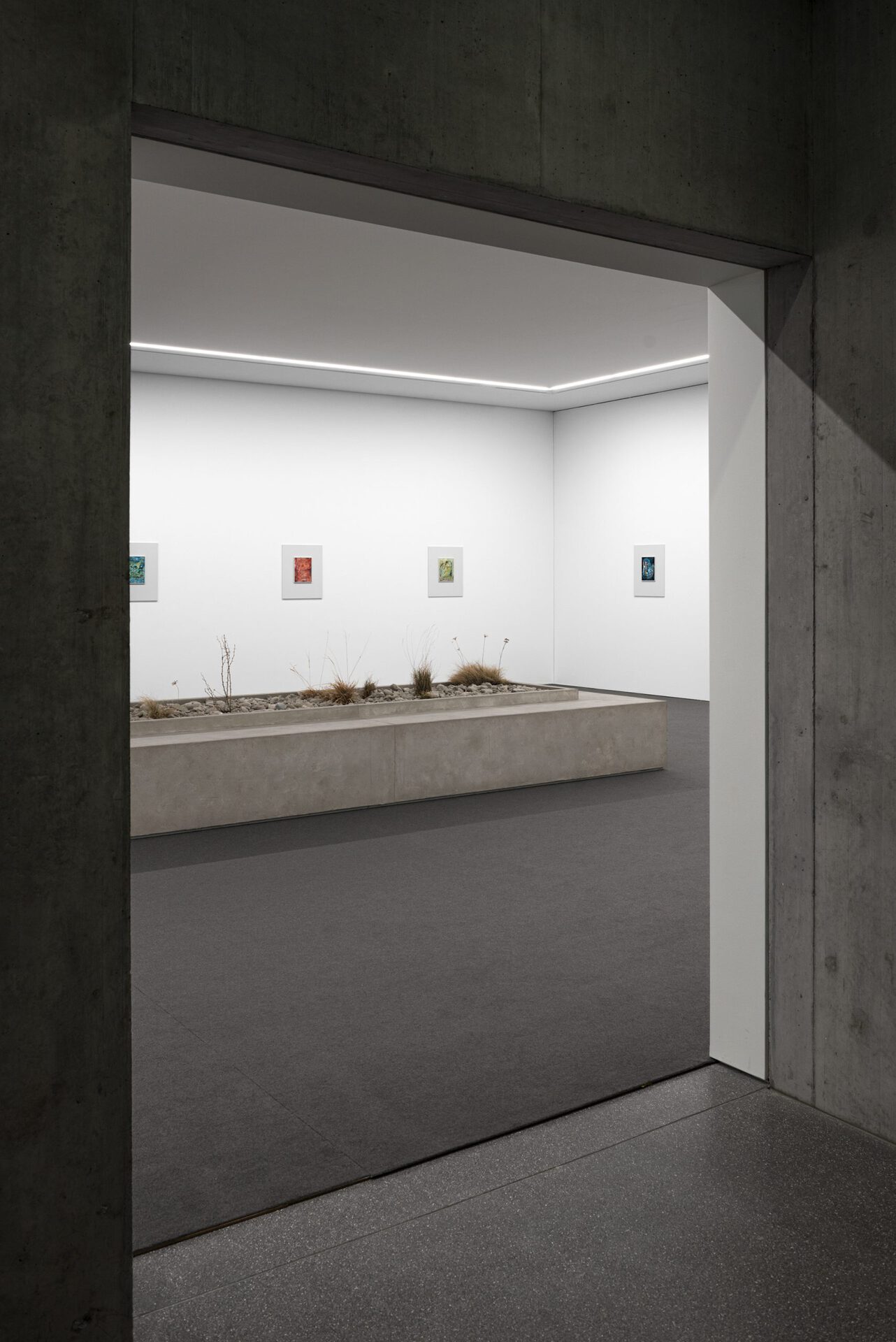 Camillo Paravicini, Installation View