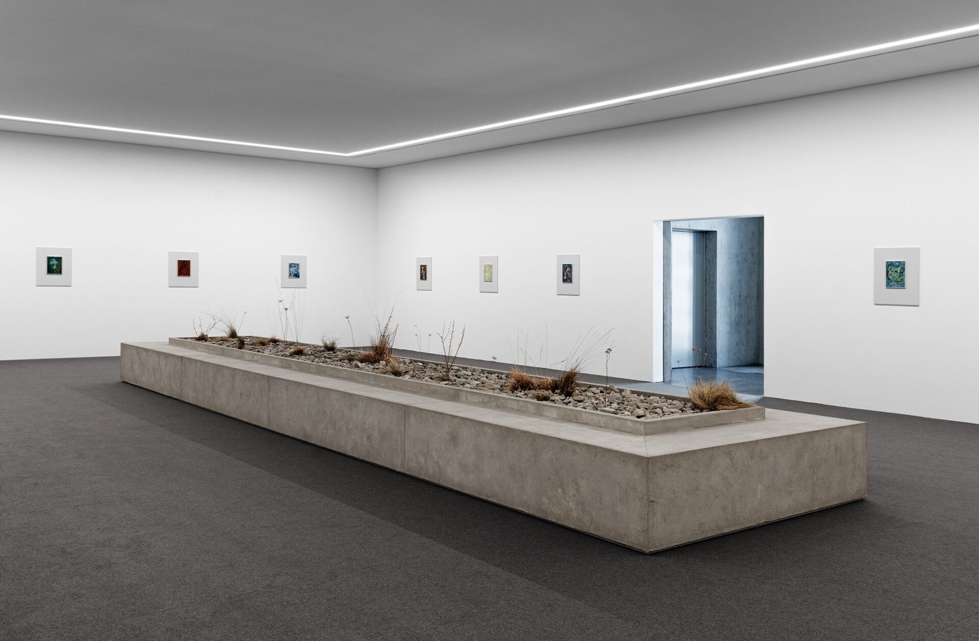 Camillo Paravicini, Installation View