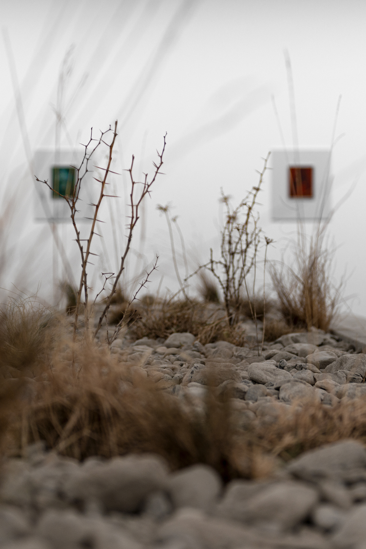 Camillo Paravicini, Installation View