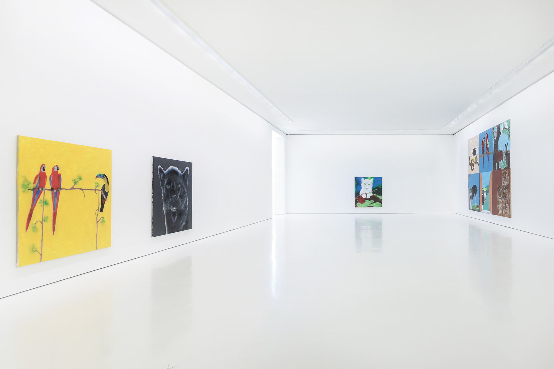 Ricardo Passaporte, Car Wash Animals, 2021, Installation view at Galeria Duarte Sequeira