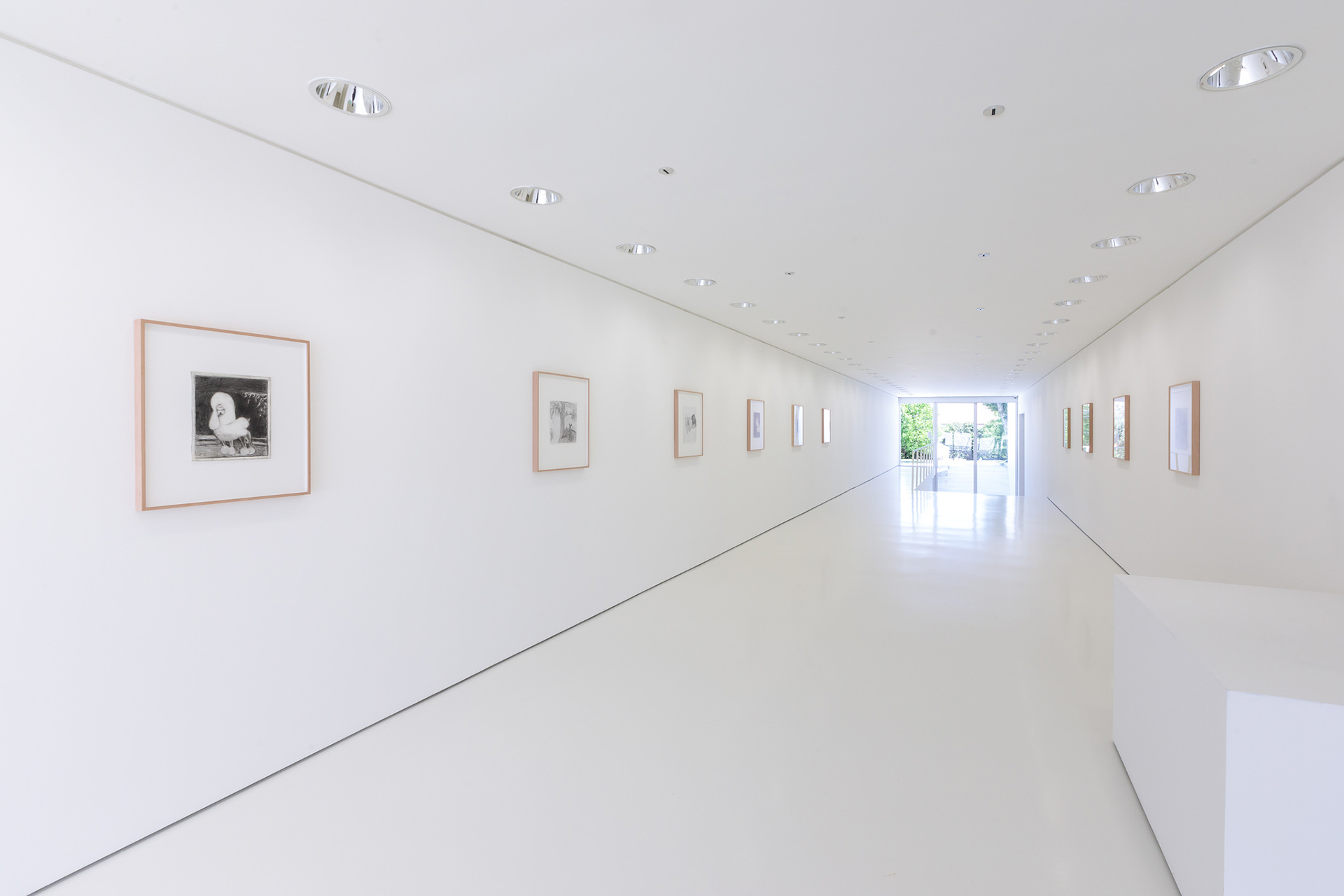 Ricardo Passaporte, Car Wash Animals, 2021, Drawings Installation view at Galeria Duarte Sequeira