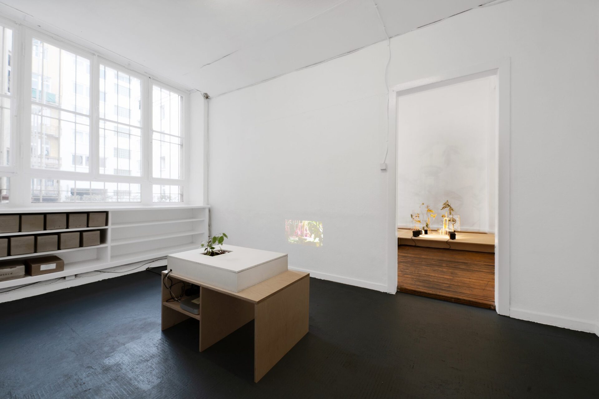 Janosch Jauch, Simulacrum, 2021, Installation view