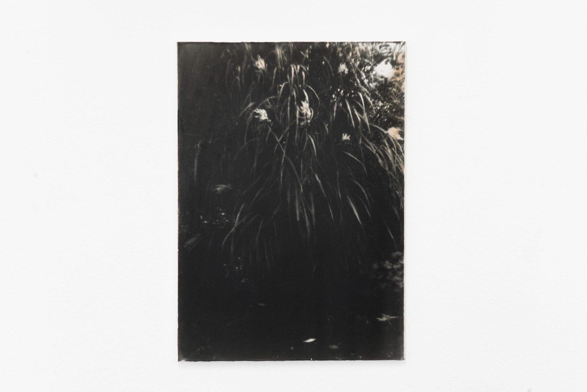 Janosch Jauch, Simulacrum, O.T., photo emulsion, acrylic on canvas, 70x50 cm
