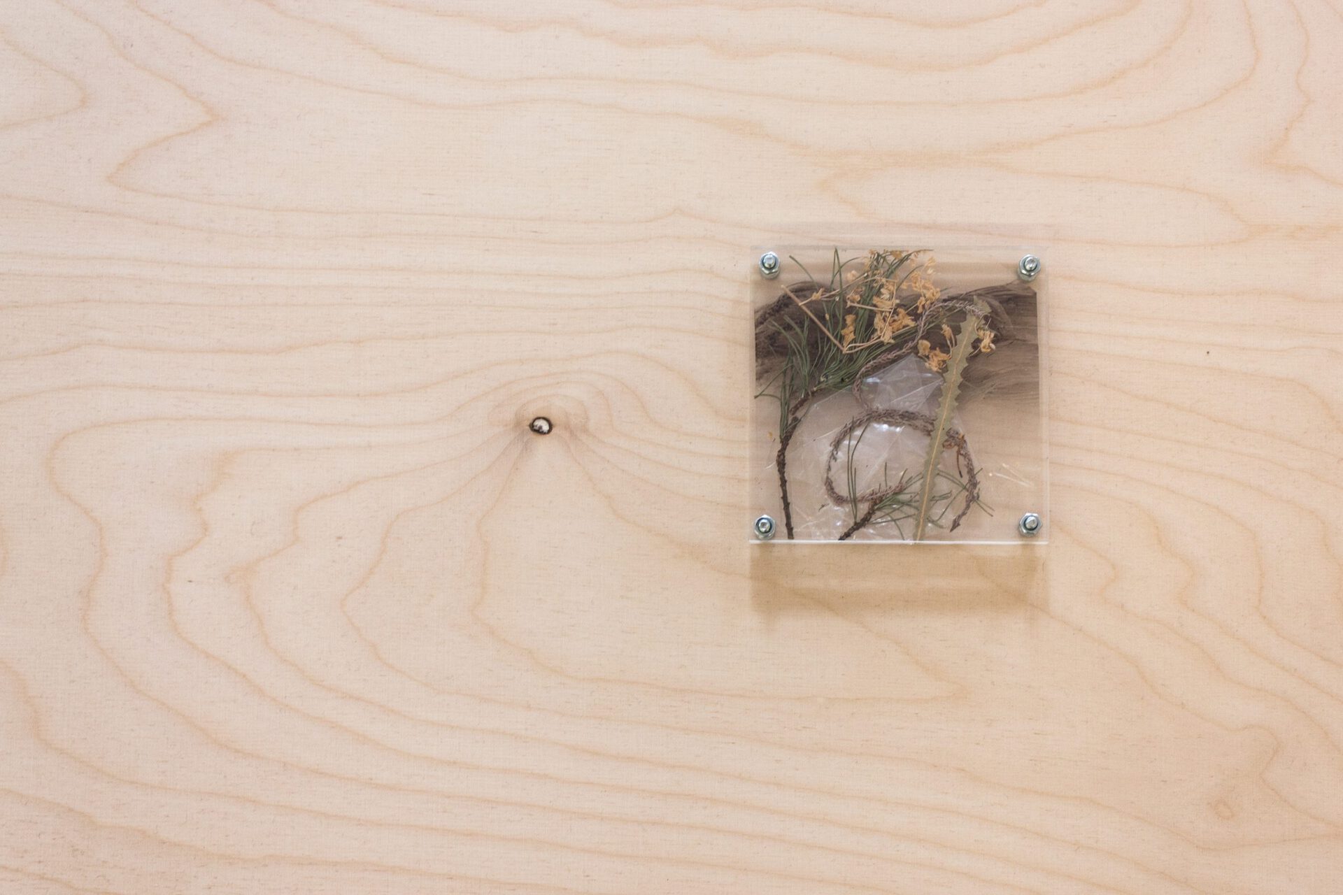 Janosch Jauch, Simulacrum, 2021, Installation view (detail)