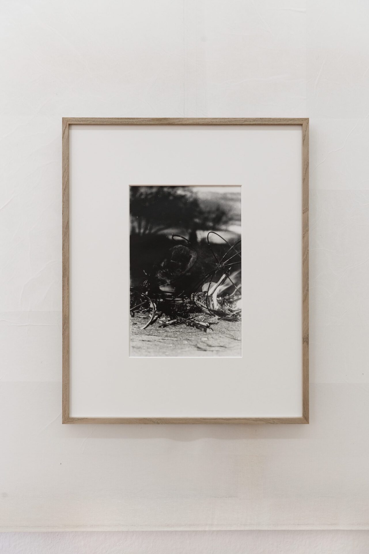 Janosch Jauch, Simulacrum, O.T. (Playful Fruits), 2021, print on baryta paper, 50x40 (frame), 30x24 cm (photo)