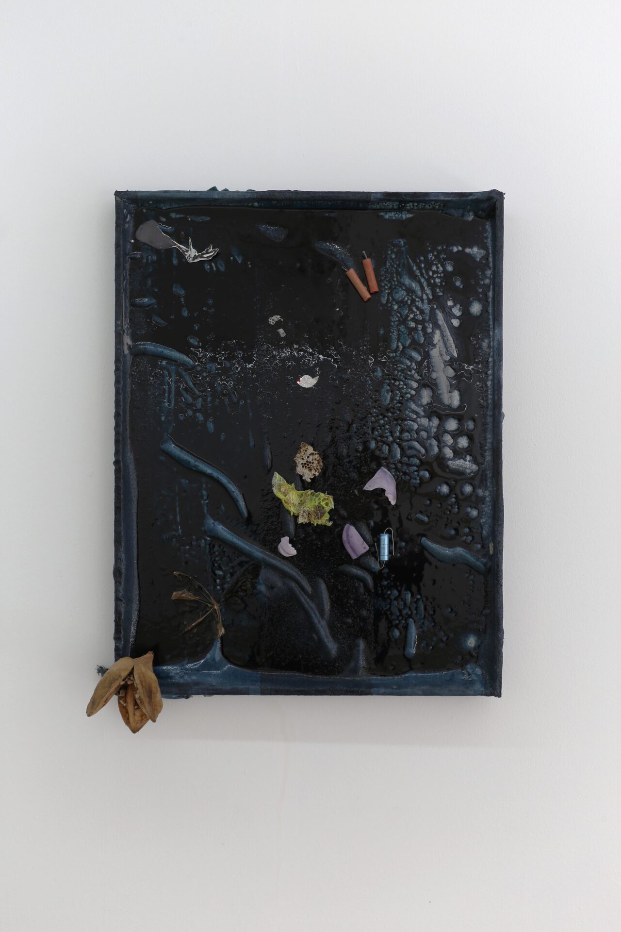 Anna Sophie de Vries, “Memento Mori”, bat wing, bee hive, flower, shells, battery, fire crackers, 2019
