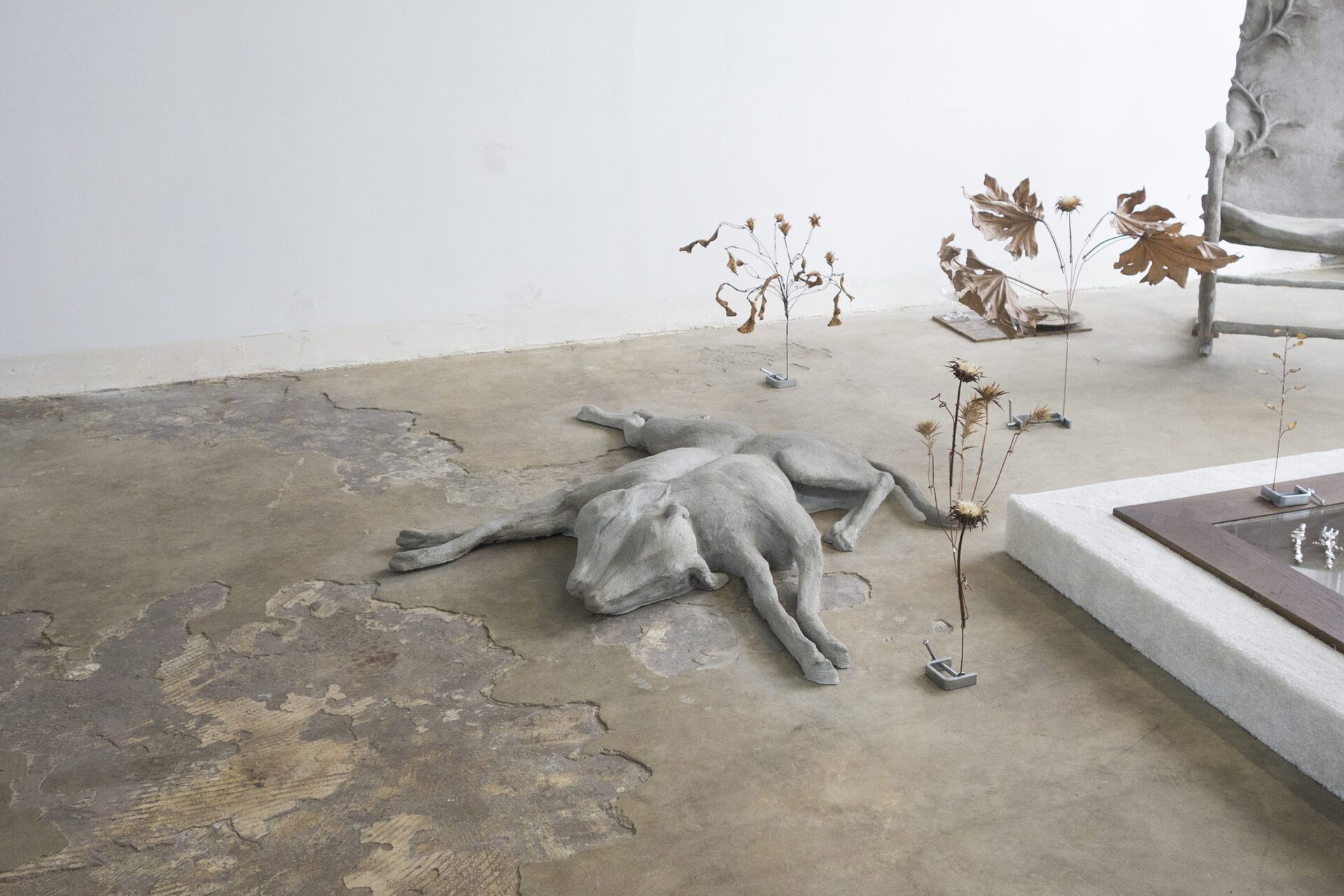 Xolo Cuintle, Xolo & Cuintle, 2020, Concrete, L 115 × P 130 × H 20 cm