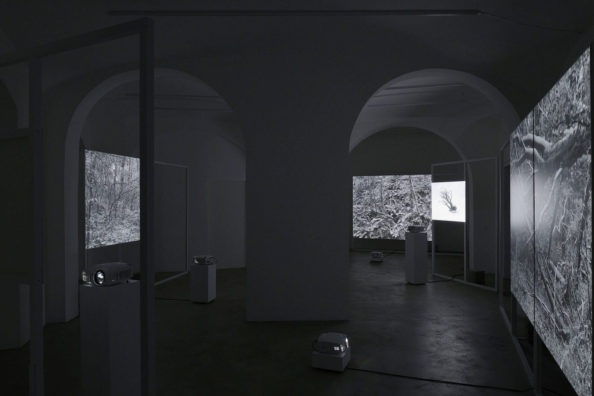 Fabio Barile - Works for a Cosmic Feeling, Installation view, Photo Roberto Apa