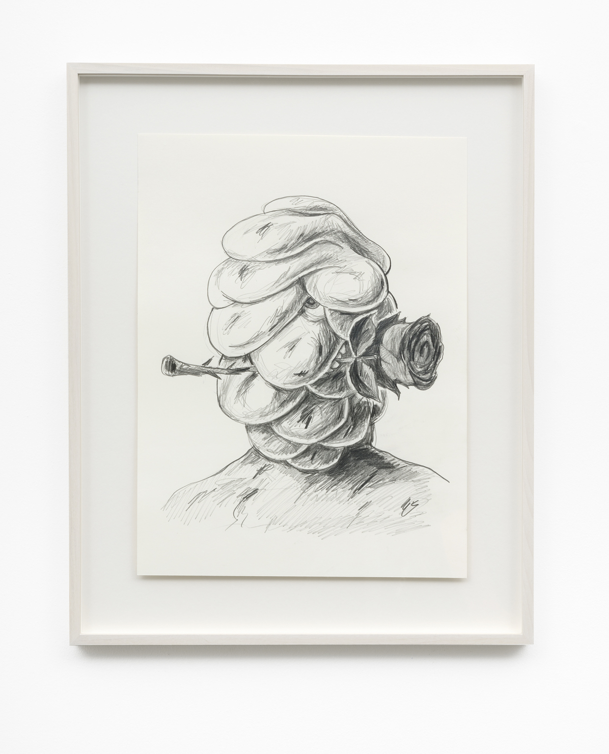 Sebastian Volz, Rose, 2020, Pencil on Paper, 52 x 42 cm