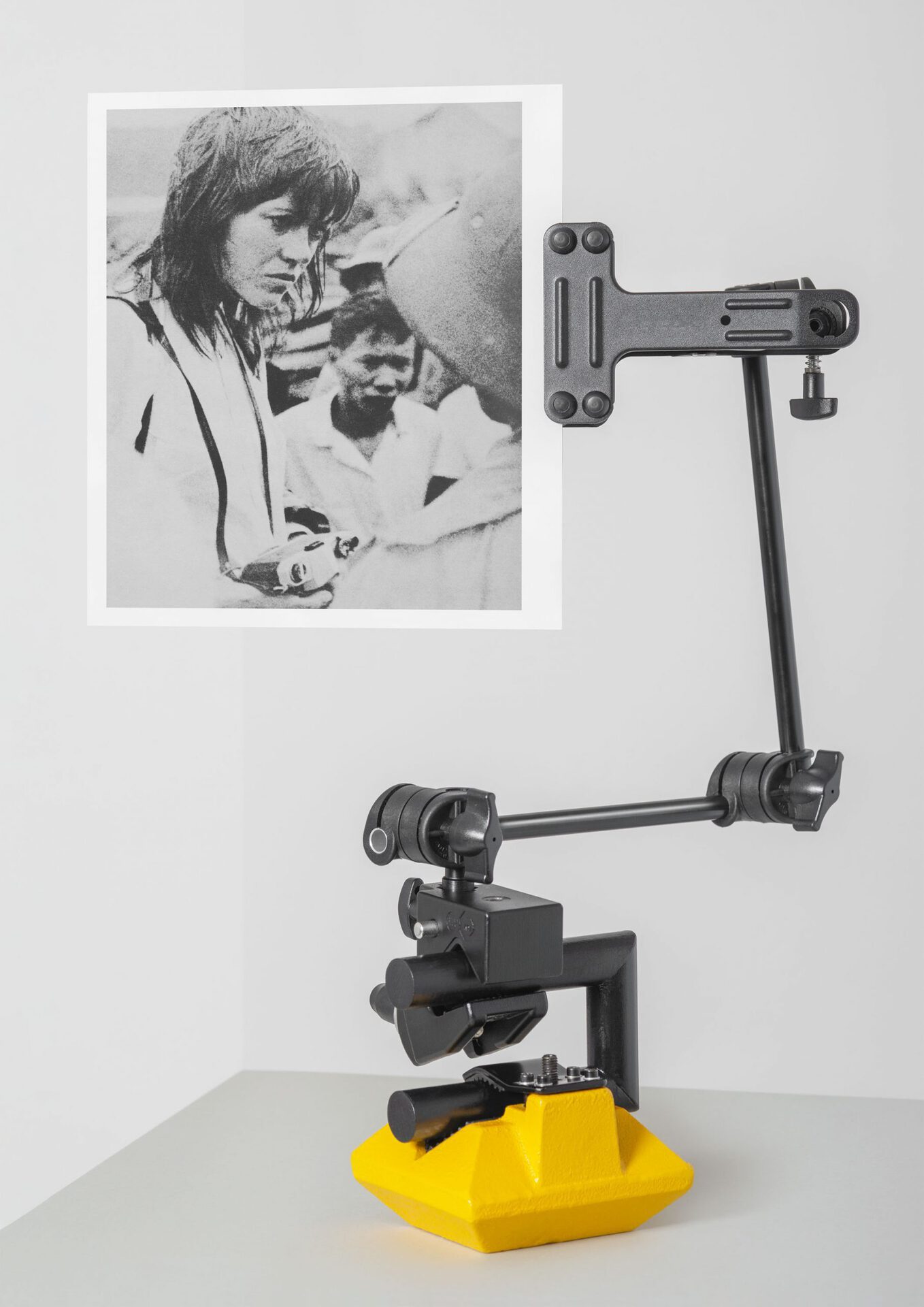 Tobias Ehrhardt / A Detour to Complicity / pigment print, oiled limewood, stand / 2021