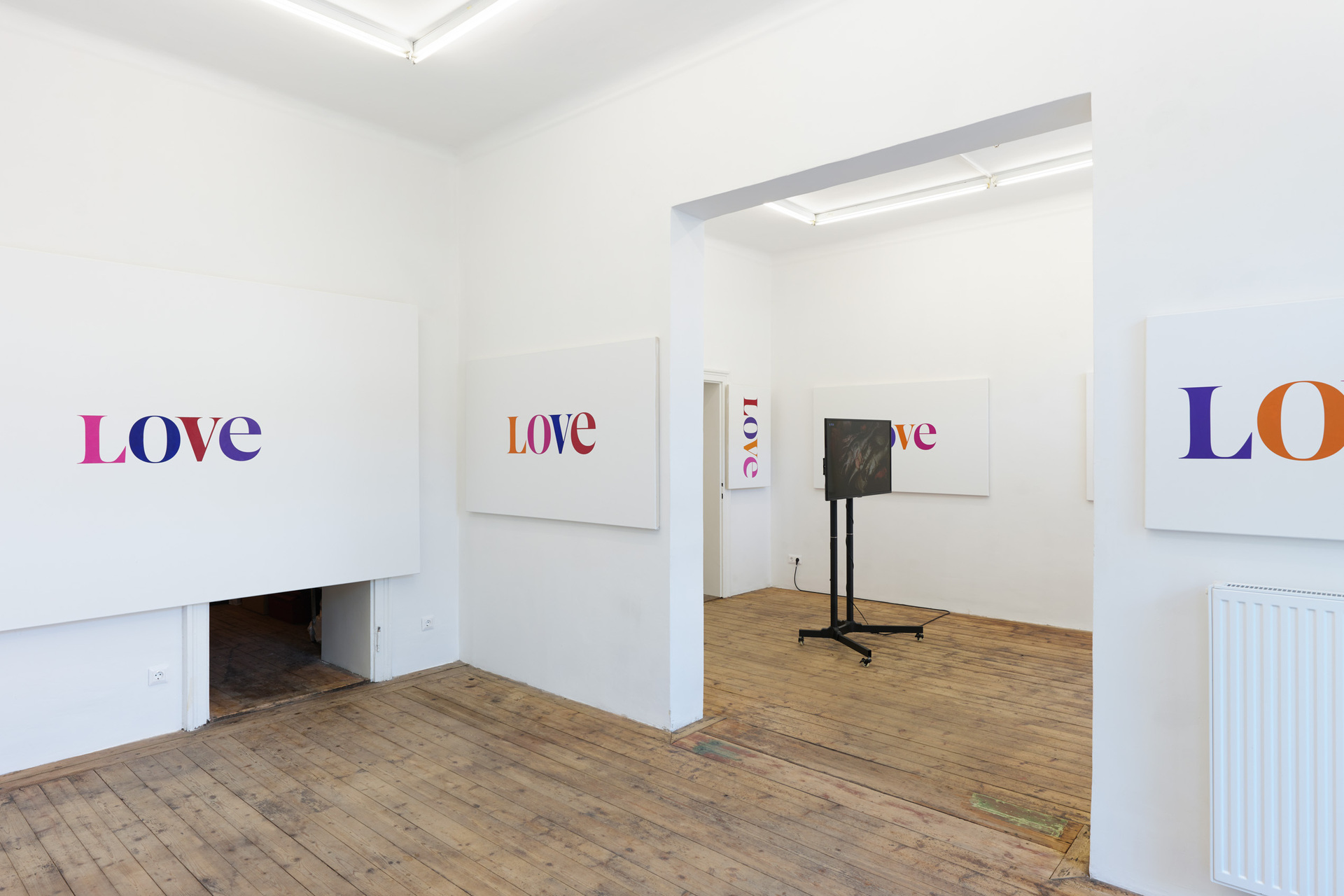 Angharad Williams, High Horse, installation view, Kevin Space 2021. Photo: Maximilian Anelli-Monti