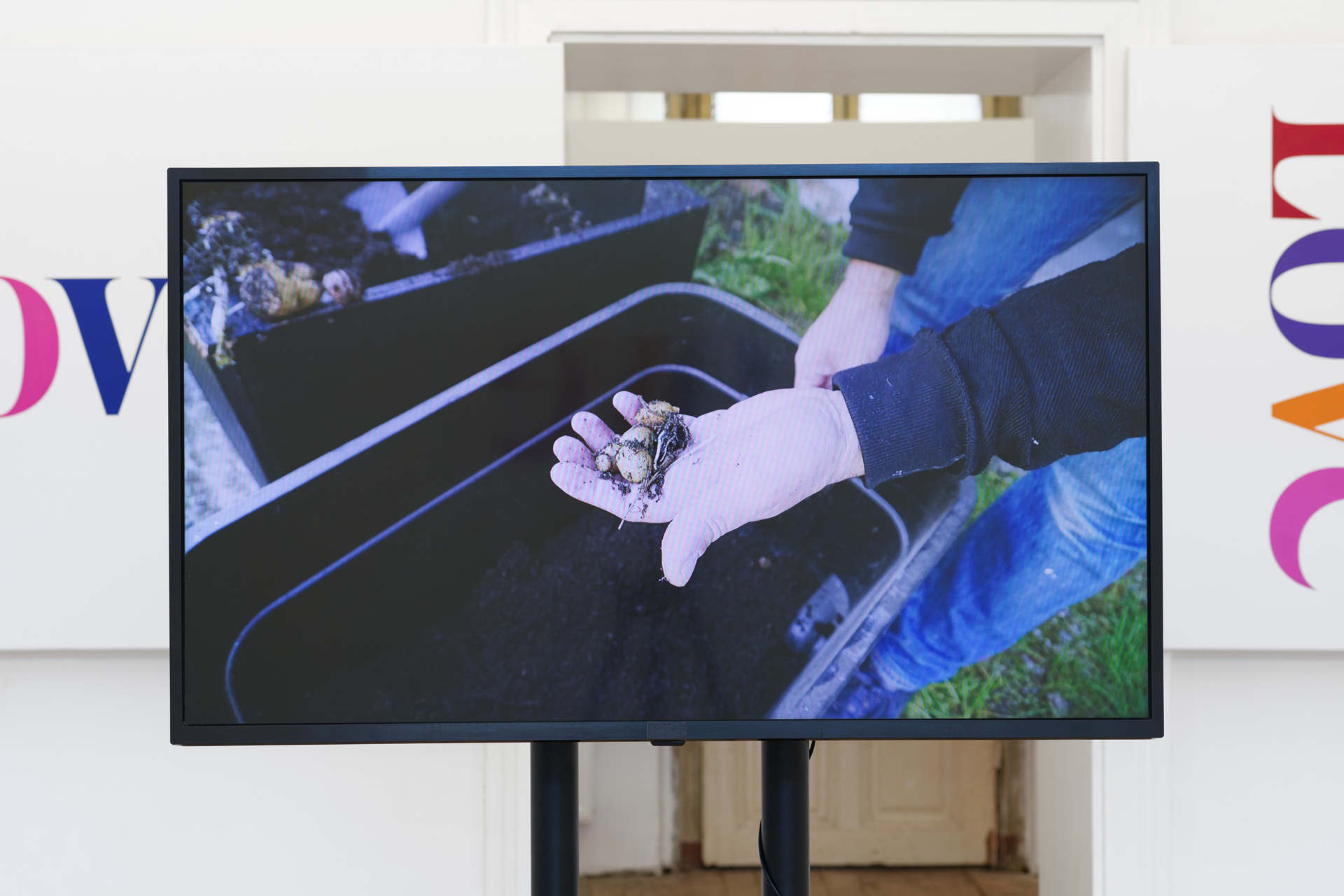 Angharad Williams, Nature is nature is nature but it’s also much more depending on your perspective, 2021, HD single channel video. Images taken 26th April–2nd June 2021. Photo: Maximilian Anelli-Monti