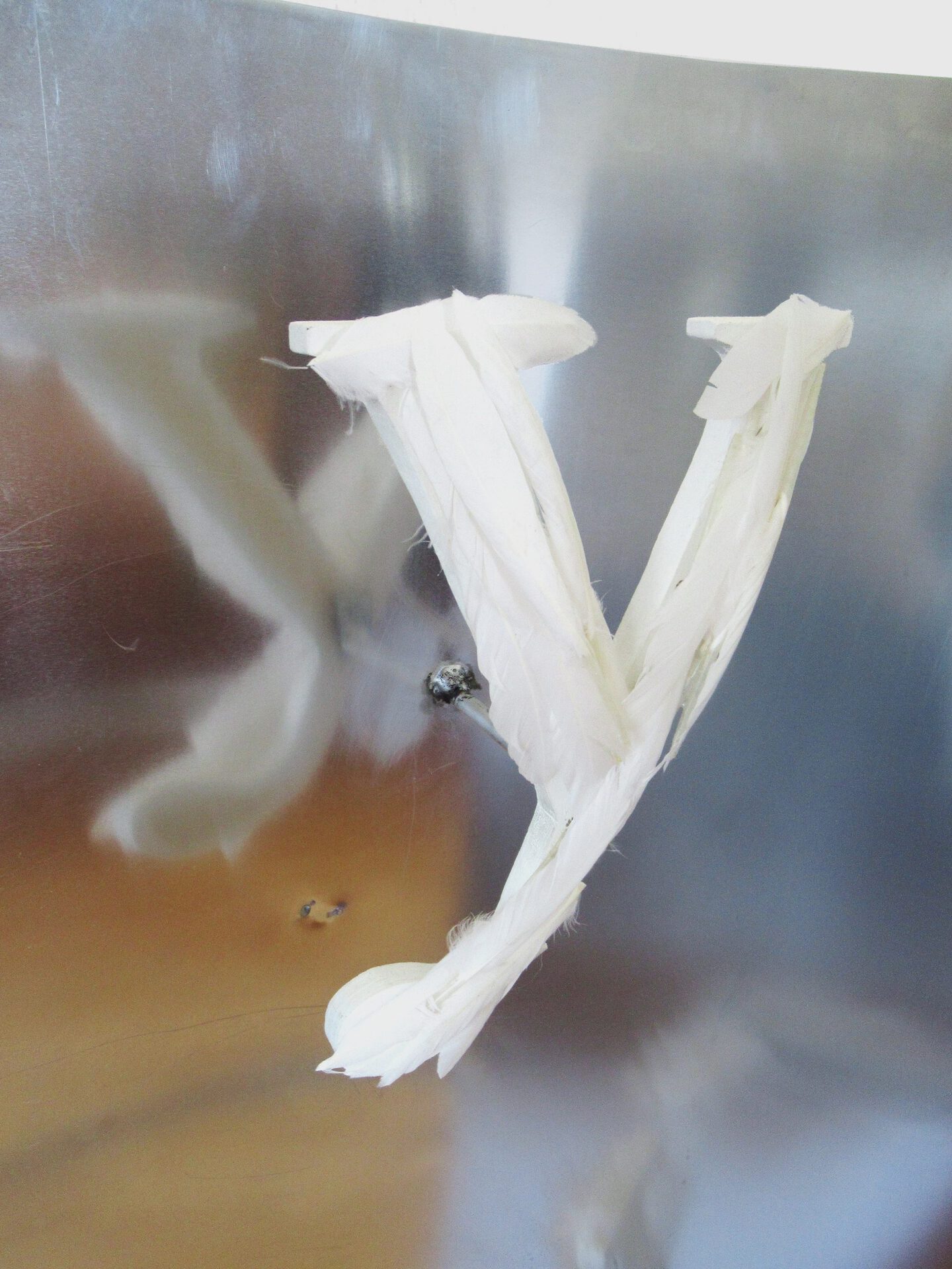 Voting Booth (an angel told me to vote yes) aluminium, feathers, wood 100x74x33 cm 2021, detail