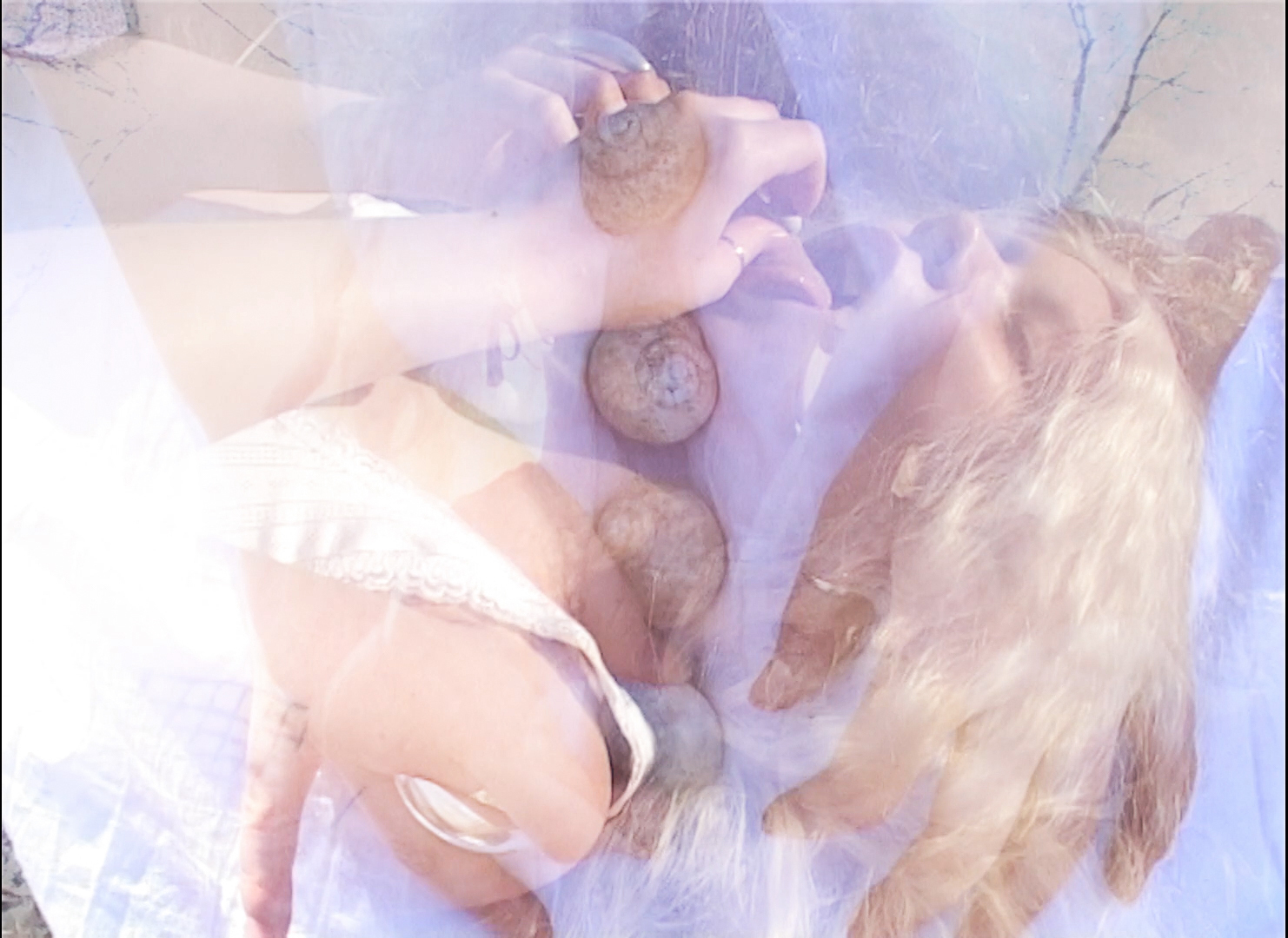Tom Funk Guérison, 2021 Filmstill