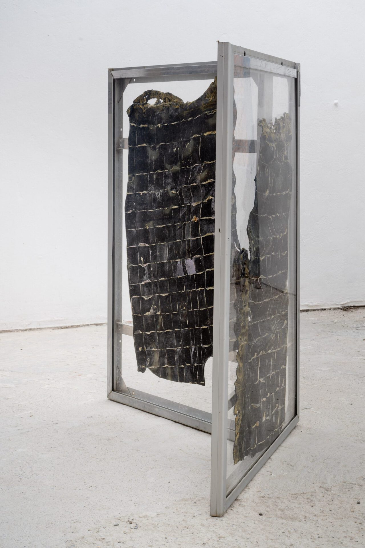 Rebekka Kronsteiner: Alu_mintation, serie/work group „anonymous reference of domestication“ (2021), both 90 x 63 cm, aluminum frame, plexiglass, latex