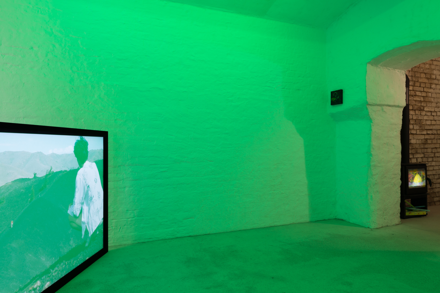 Installation view: But I doubt, I tremble, I see (shaking edges) and the wild thorn tree, Giuliana Rosso & Rory Pilgrim, Curated by Caterina Avataneo, Pina (Vienna)