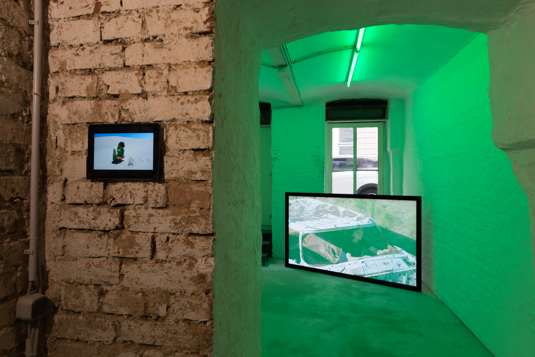 Installation view: But I doubt, I tremble, I see (shaking edges) and the wild thorn tree, Giuliana Rosso & Rory Pilgrim, Curated by Caterina Avataneo, Pina (Vienna)