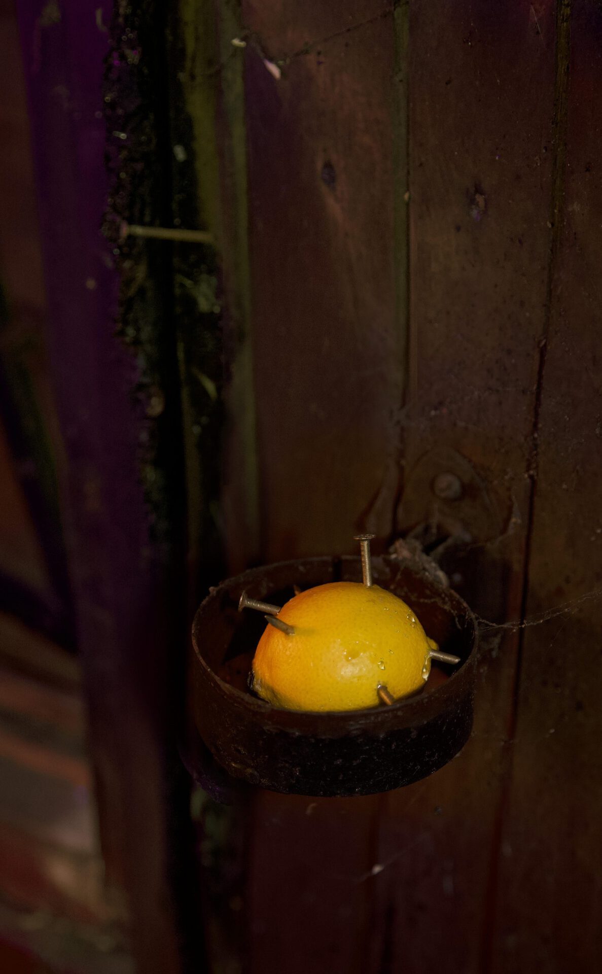 PGS - Superposition lemon ward No. 3, 2020