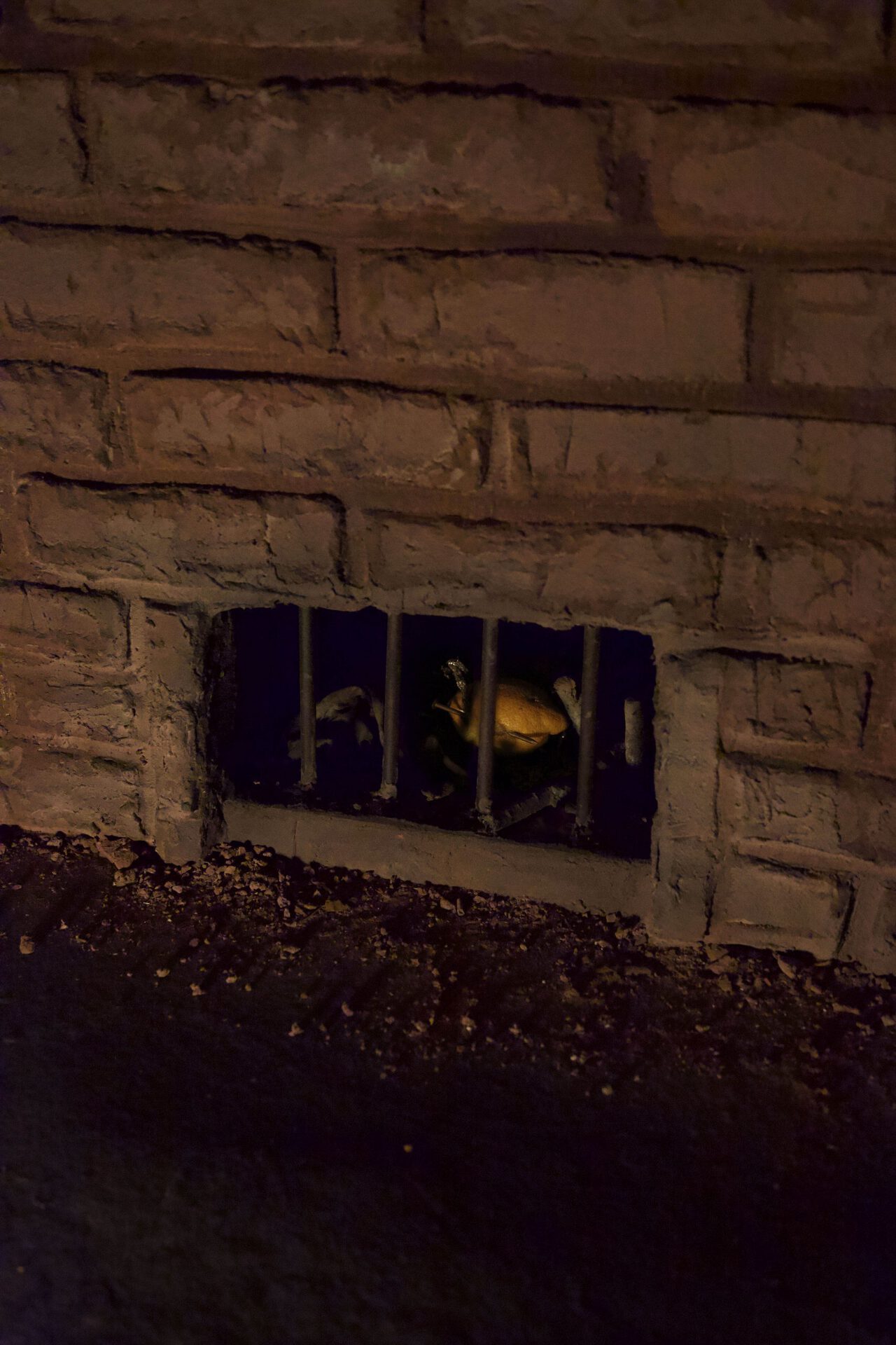 PGS - Superposition lemon ward No. 4, 2021