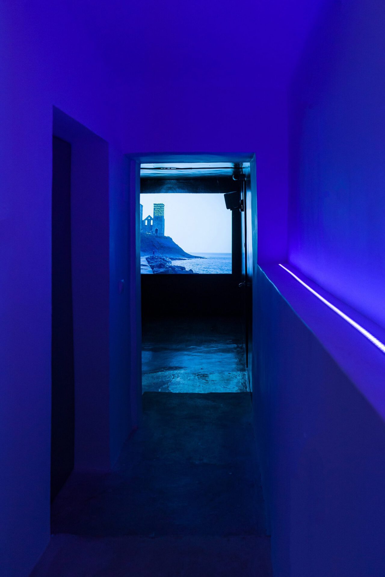 Zoe Williams, Sunday Fantasy (2019)