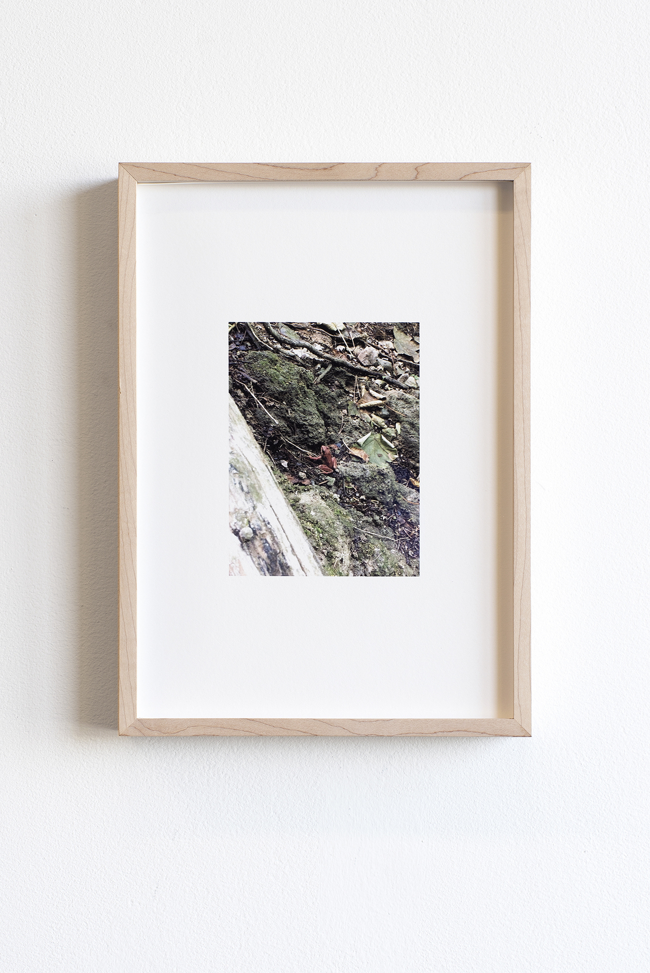 Mikko Kuorinki, Frog at Mount Olympus on 4.10. 2017, 2021, framed photograph