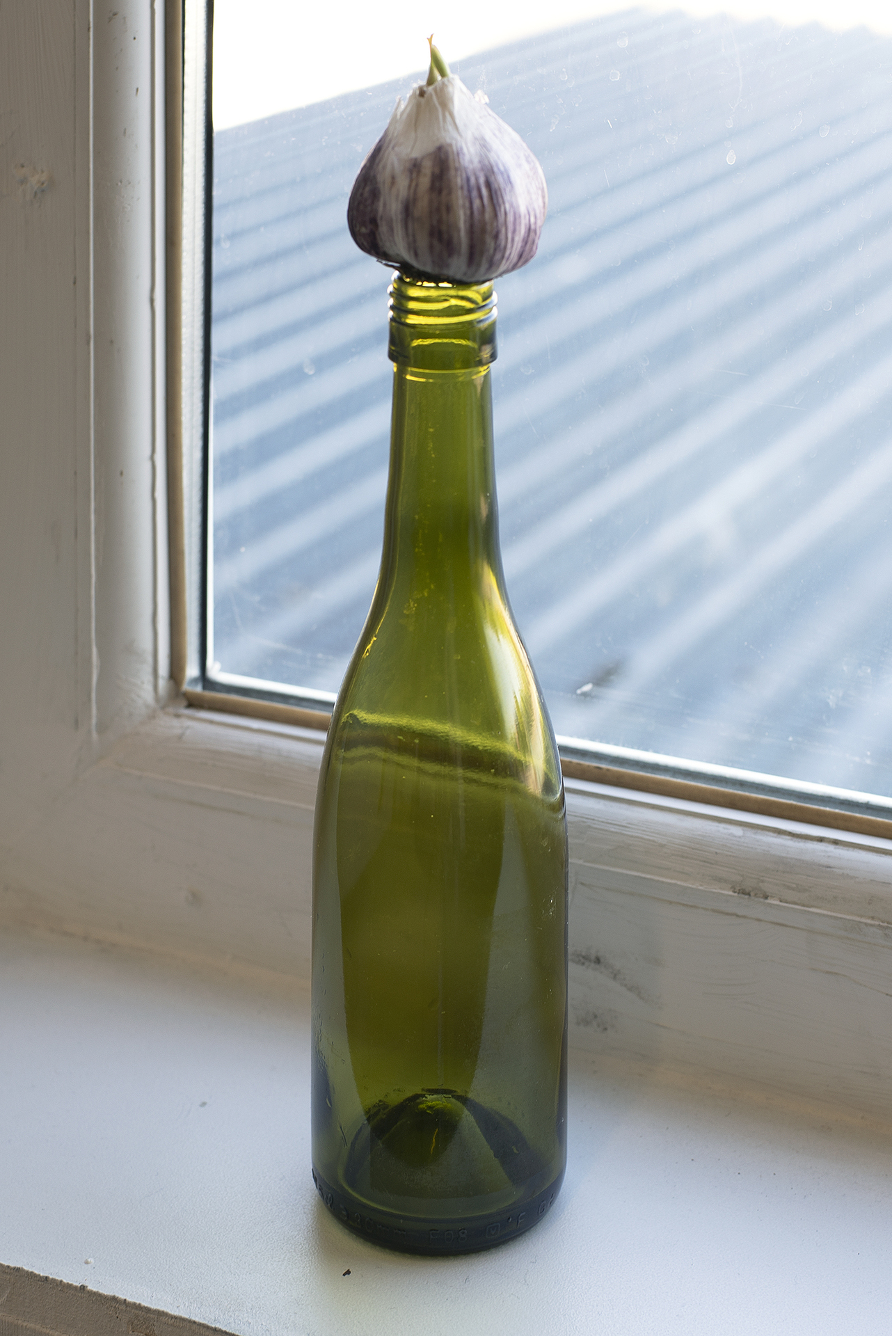 Mikko Kuorinki Garlic Walk (After Simone Forti), 2021, garlic, wine bottle