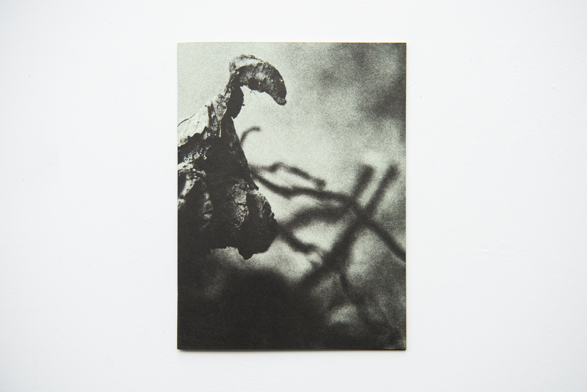 Tom Hardwick-Allan, Vogel, 2021, risograph published by Weinspach, 20 pages, 20 x 15 cm