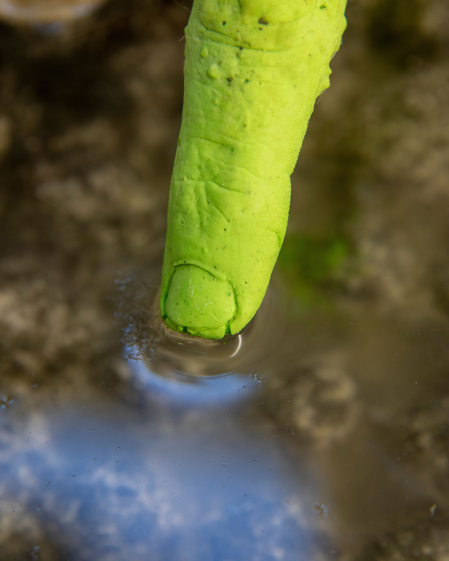 Anna Lena Grau, Tränke, 2020, Plaster, epoxy resin, pigeon defense, water, 30 x 39 x 40 cm (detail)