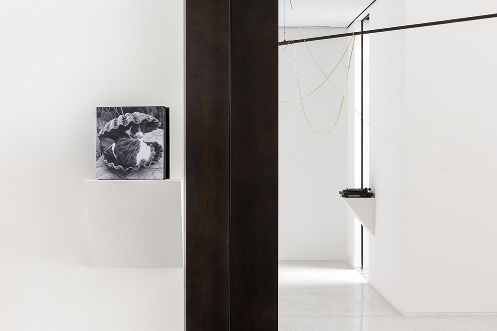 Athanasios Argianas, Hollowed Water, Installation View, 2021