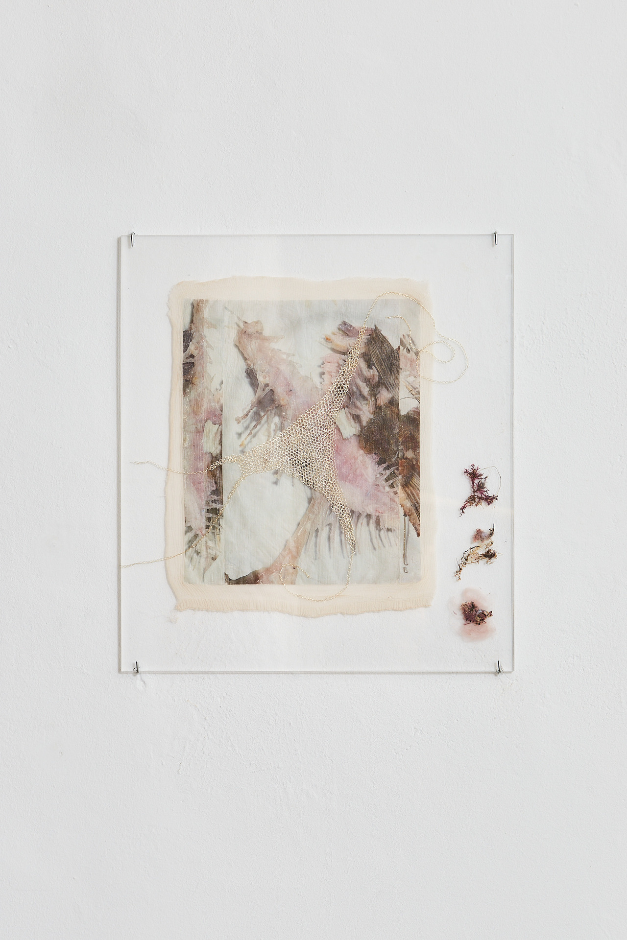 Julia Creuheras, 'Vestigio II', 2021, print on silk, silver, wook, seaweed and plexiglass, 44,6 x 40,1 cm.