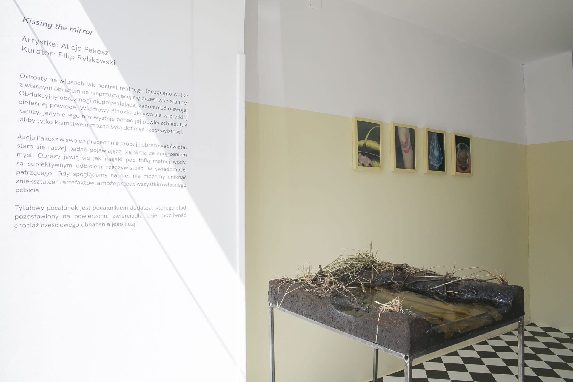 Alicja Pakosz, Kissing the mirror, 2021, exhibiton space