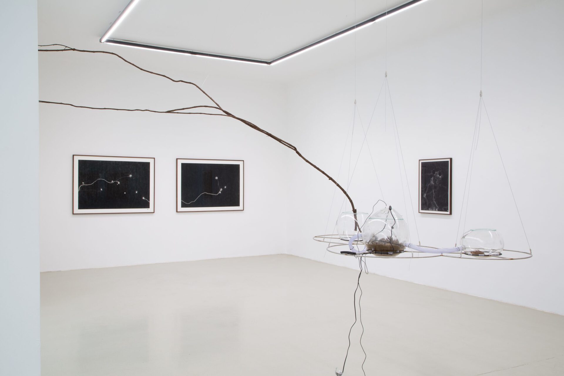 Maximilian Prüfer, Installation view X, 2021