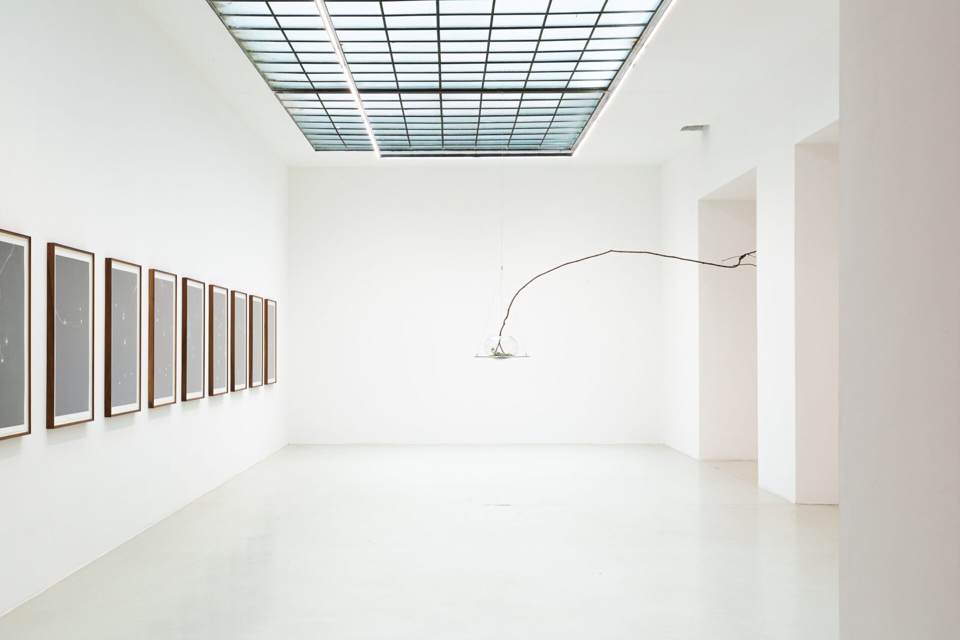 Maximilian Prüfer, Installation view XI, 2021