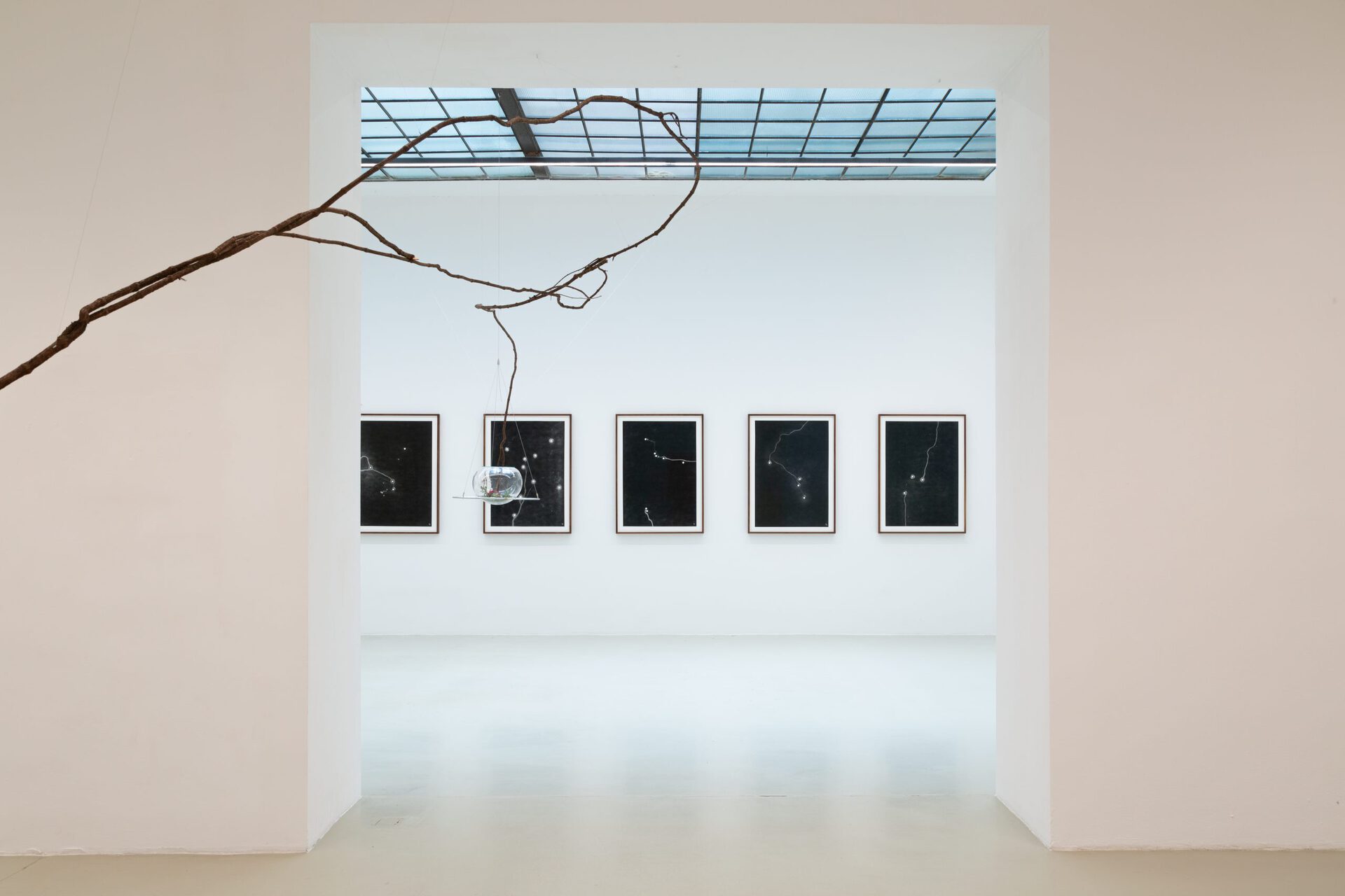 Maximilian Prüfer, Installation view XII, 2021