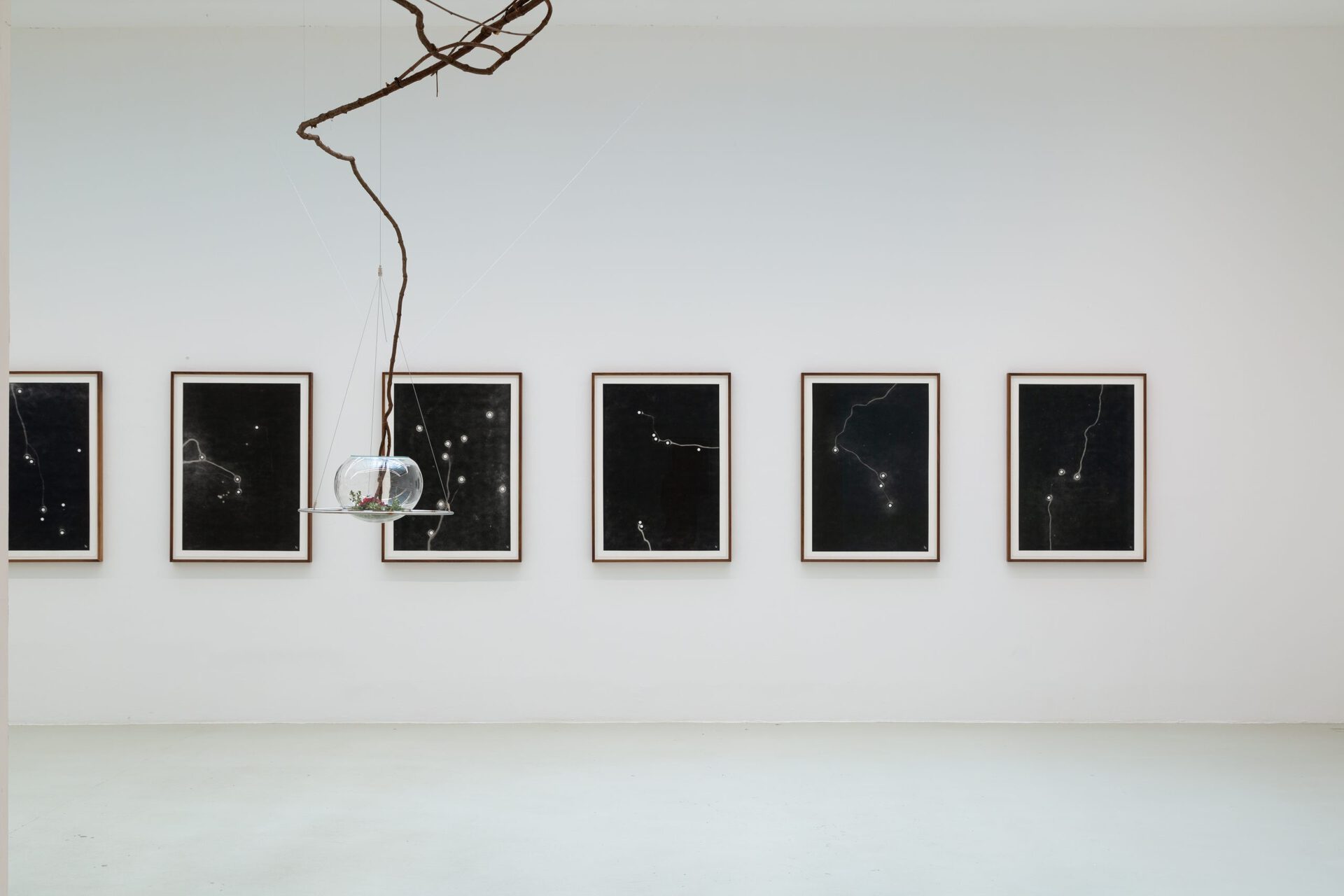 Maximilian Prüfer, Installation view XIII, 2021