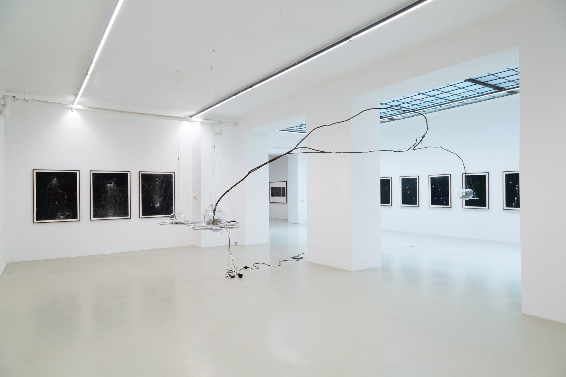 Maximilian Prüfer, Installation view XV, 2021