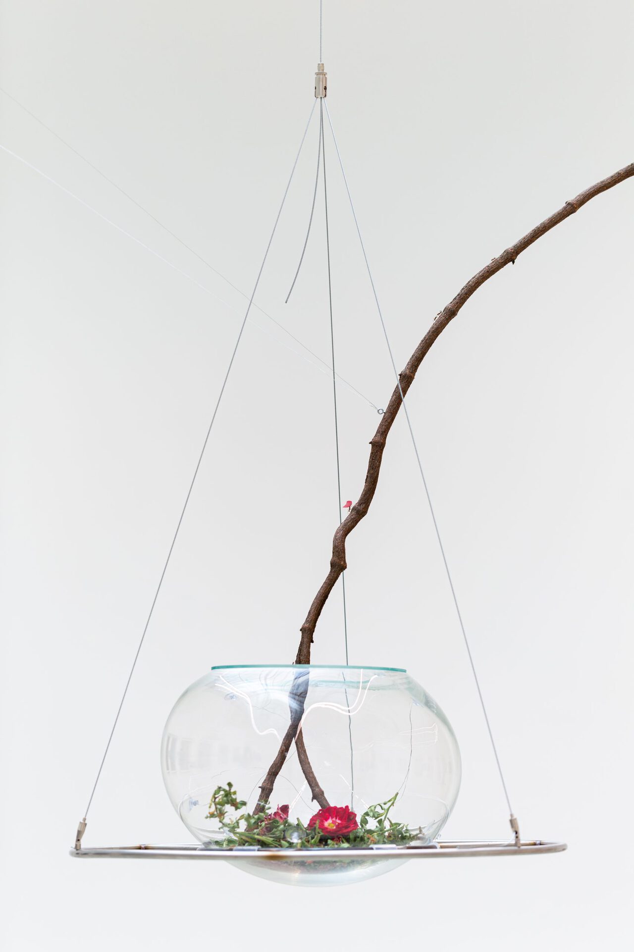 Maximilian Prüfer, Ants on Body Scale, 2021, Detail 03