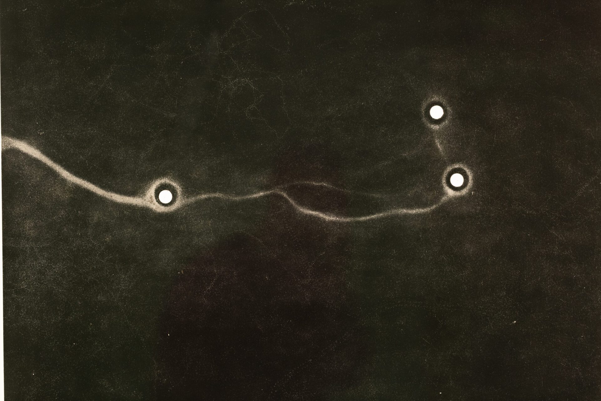 Maximilian Prüfer, Forming Thoughts, 2020, Detail 01