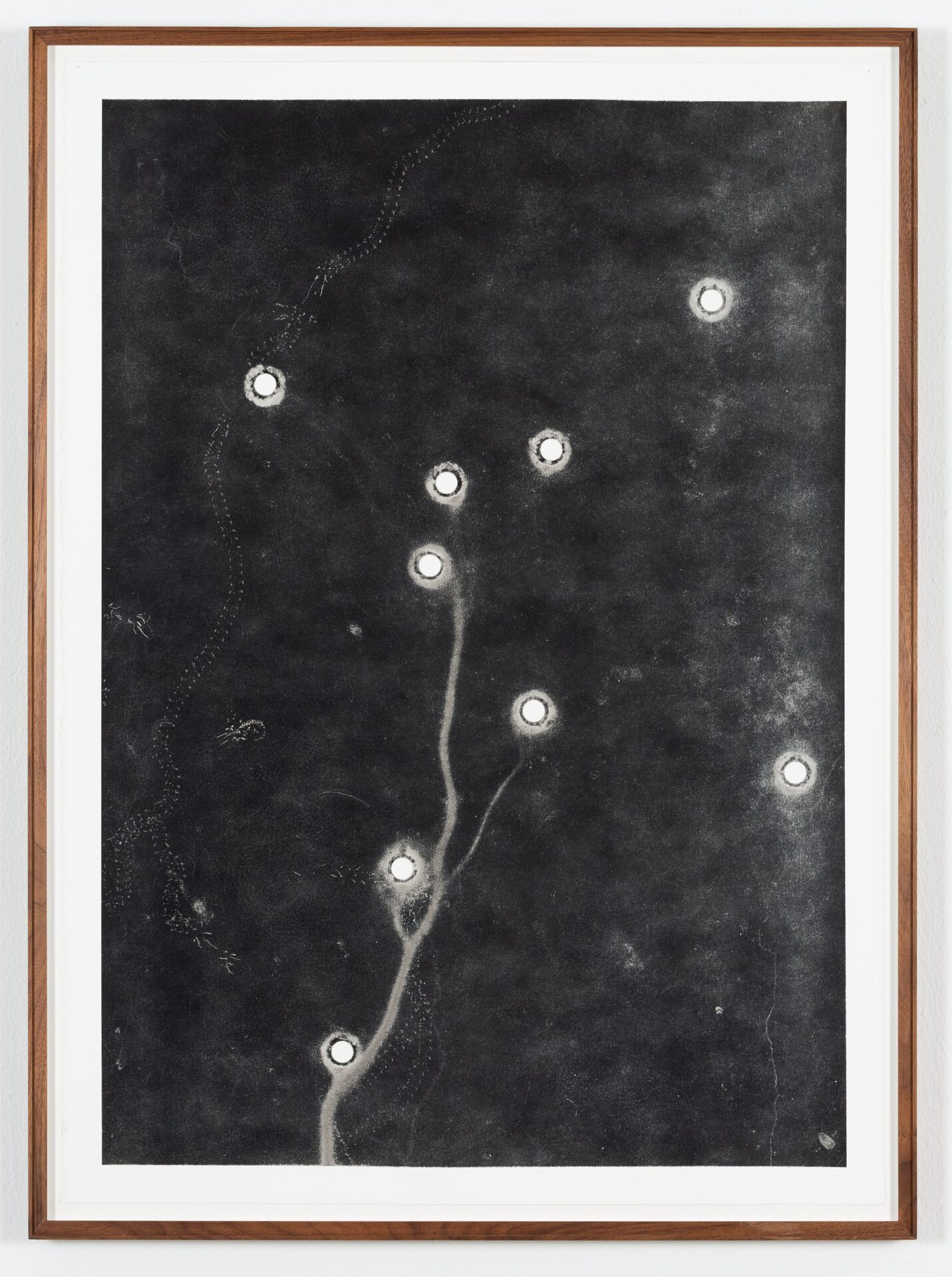 Maximilian Prüfer, Forming Thoughts, 2020, Naturantypie and paper, 82 x 111 cm, 01