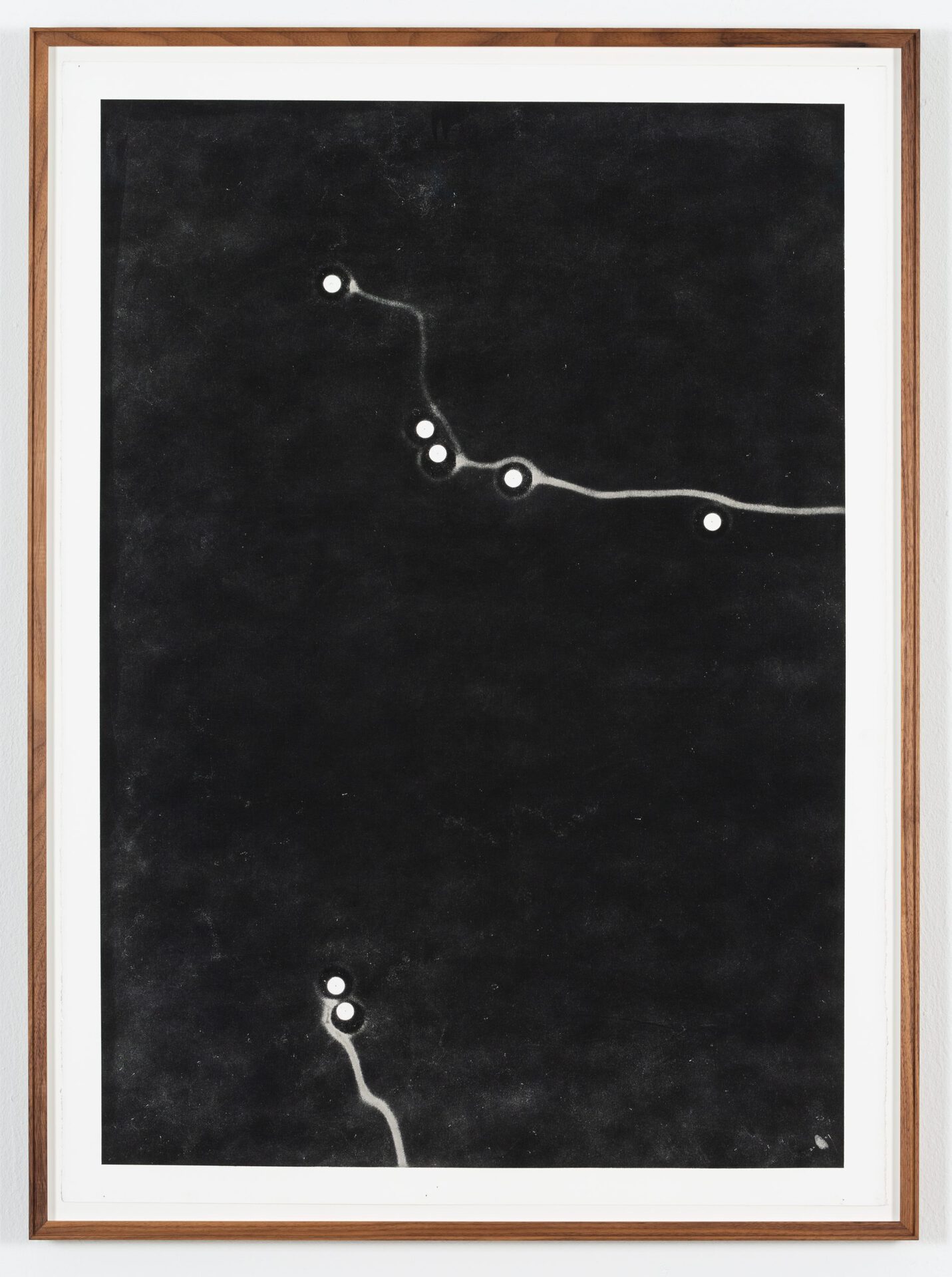 Maximilian Prüfer, Forming Thoughts, 2020, Naturantypie and paper, 82 x 111 cm, 02