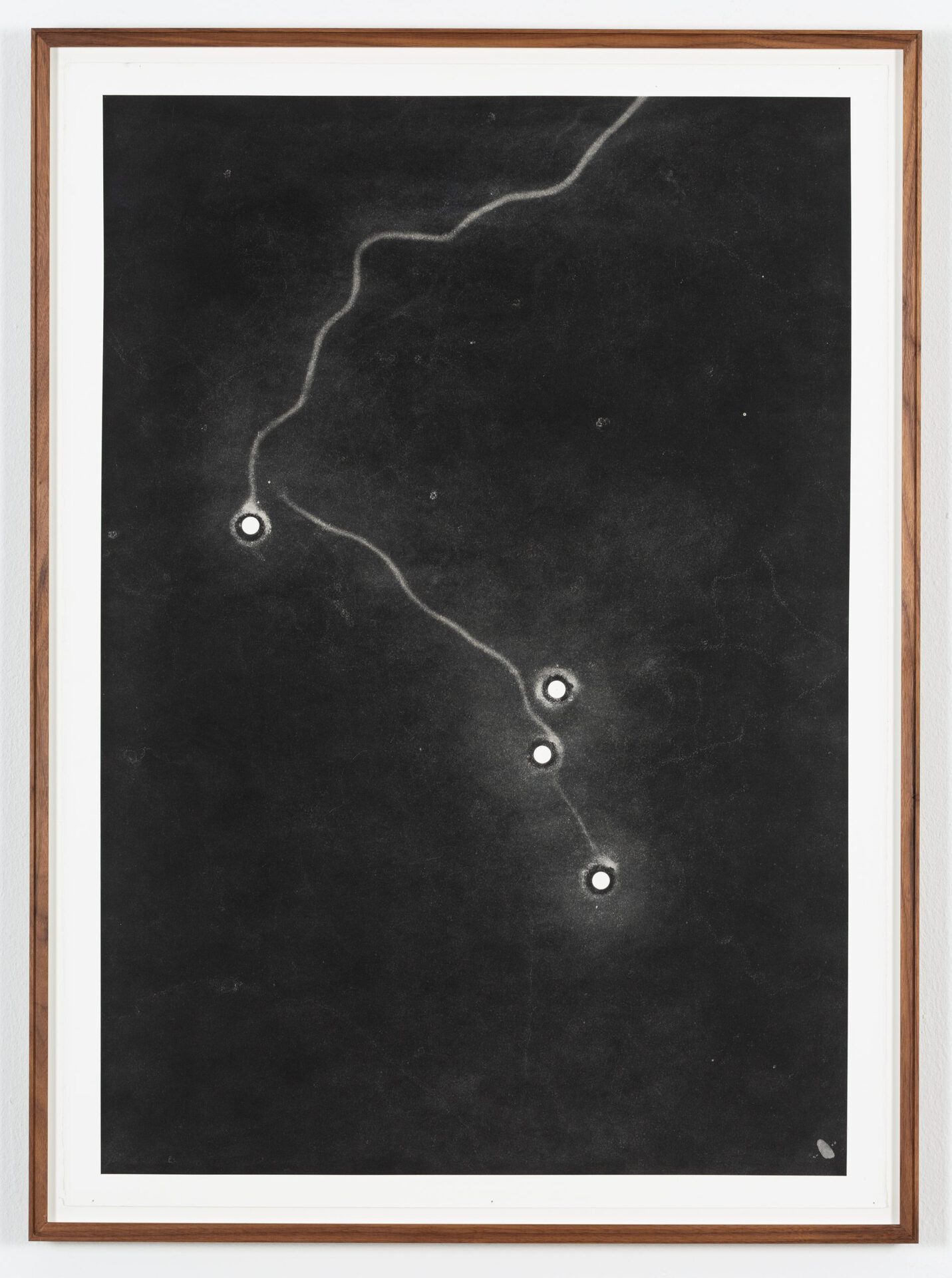 Maximilian Prüfer, Forming Thoughts, 2020, Naturantypie and paper, 82 x 111 cm, 03