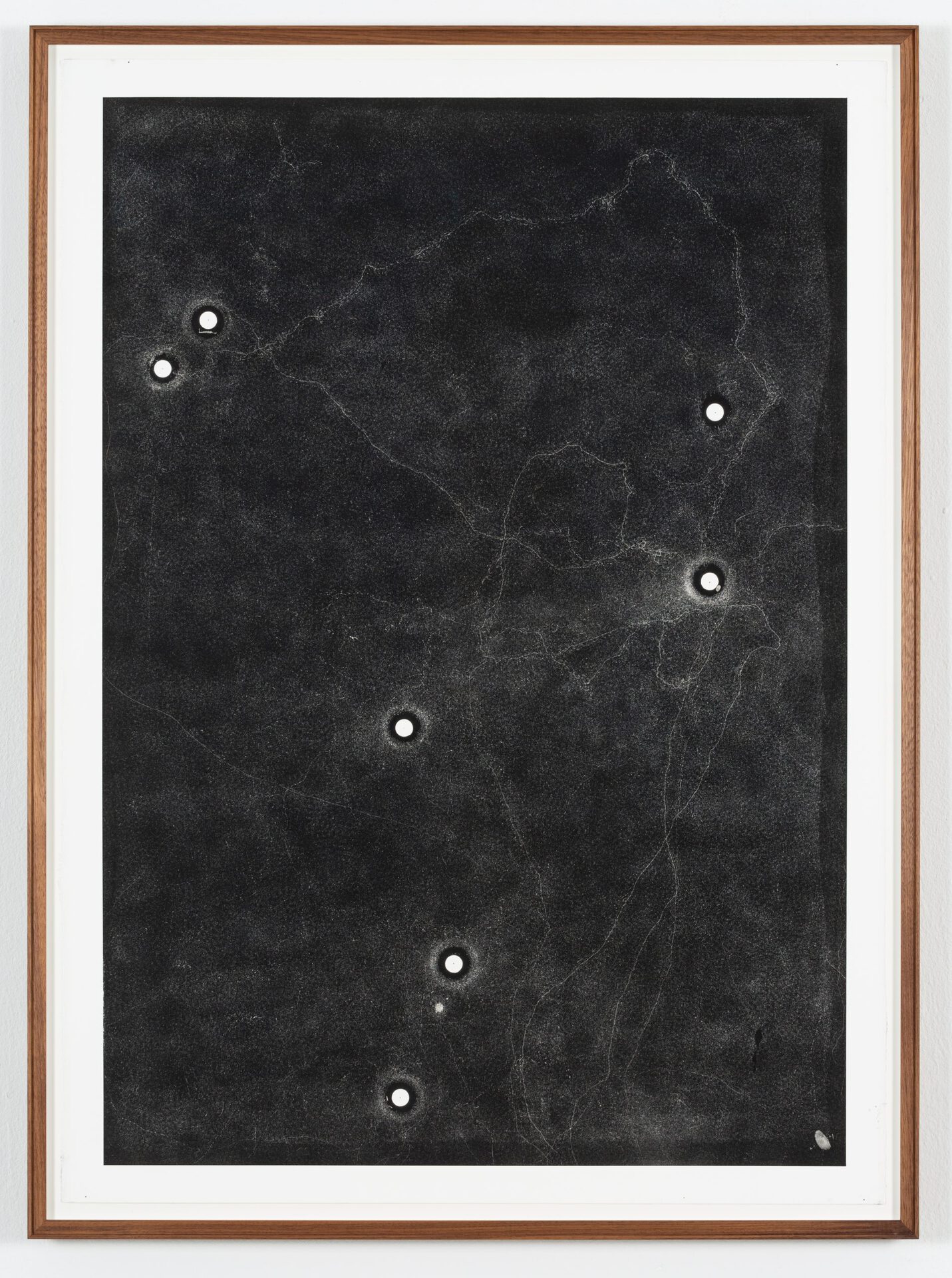 Maximilian Prüfer, Forming Thoughts, 2021, Naturantypie and paper, 82 x 111 cm, 01