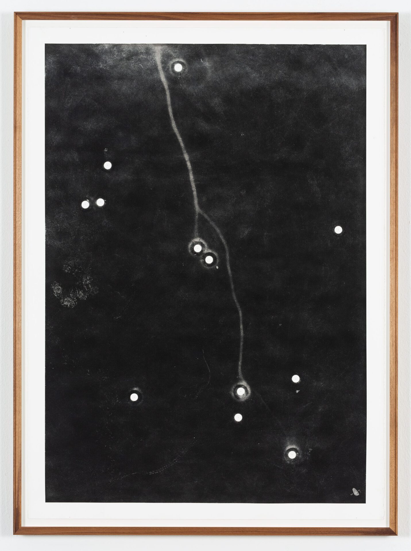 Maximilian Prüfer, Forming Thoughts, 2021, Naturantypie and paper, 82 x 111 cm, 02