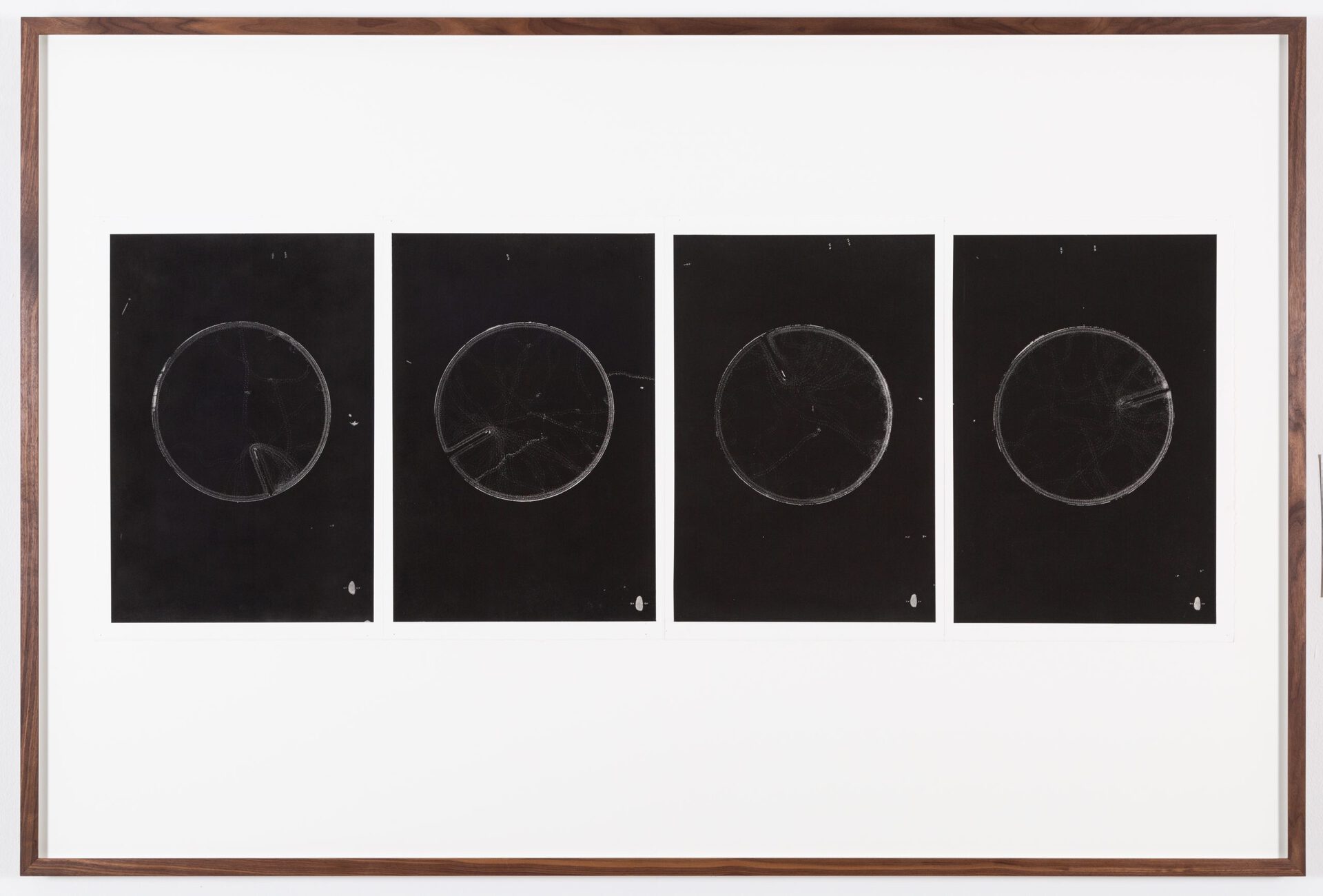 Maximilian Prüfer, Von Innen-Außen, 2021, Naturantypie and paper, 178 x 120 cm