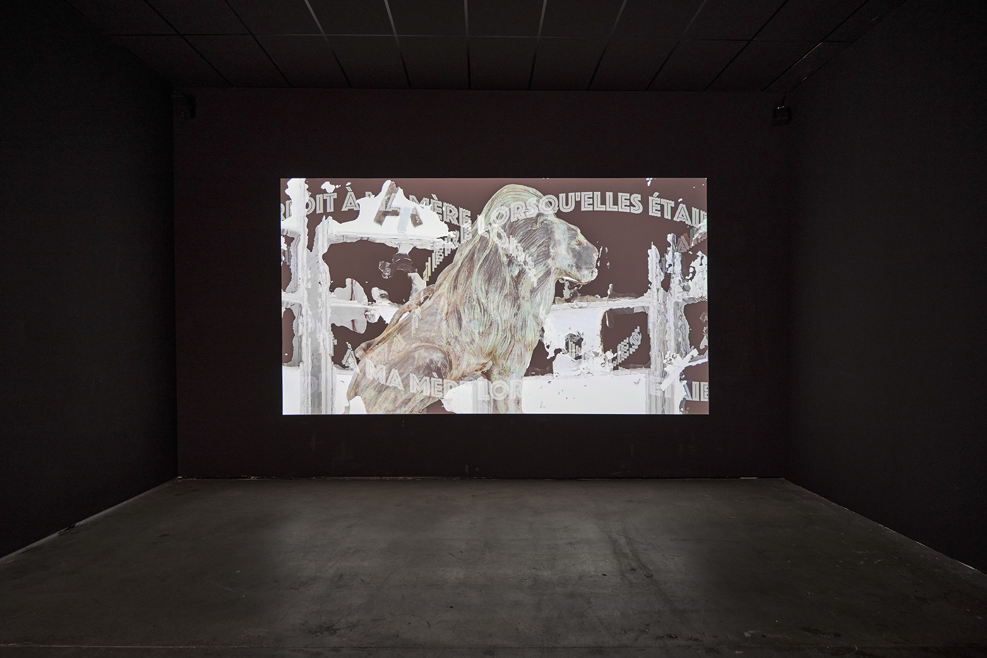 My Appropriation of Her Holy Hollowness (Installation view), Raphaela Vogel. Le Confort Moderne, June 2021. Photo : Pierre Antoine.