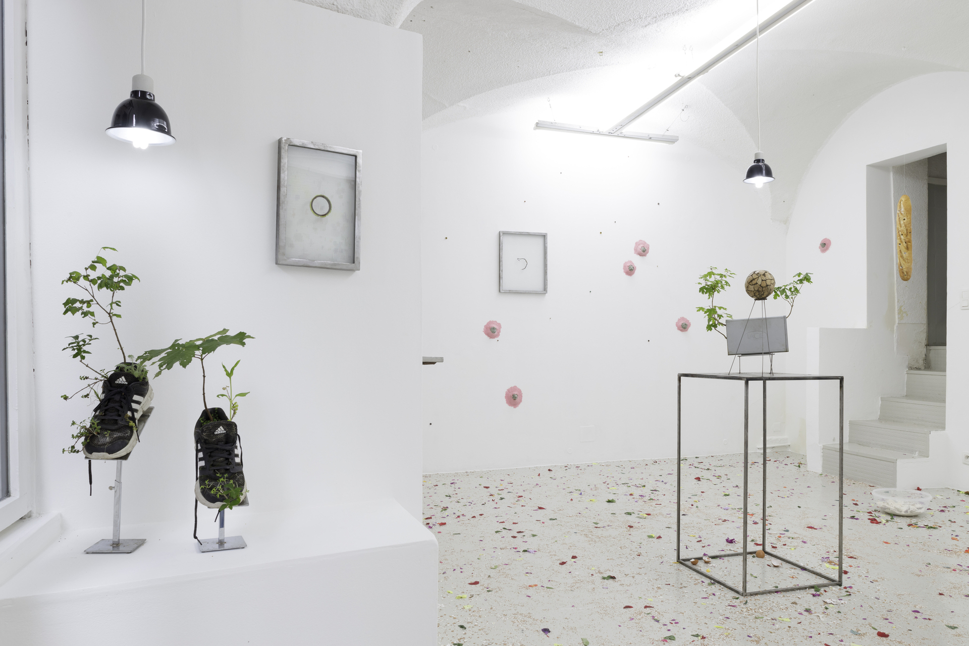 Exhibition view, On loop, Michel Blazy and Enzo Mianes, In extenso. Courtesy of In extenso. Picture: Ludovic Combe