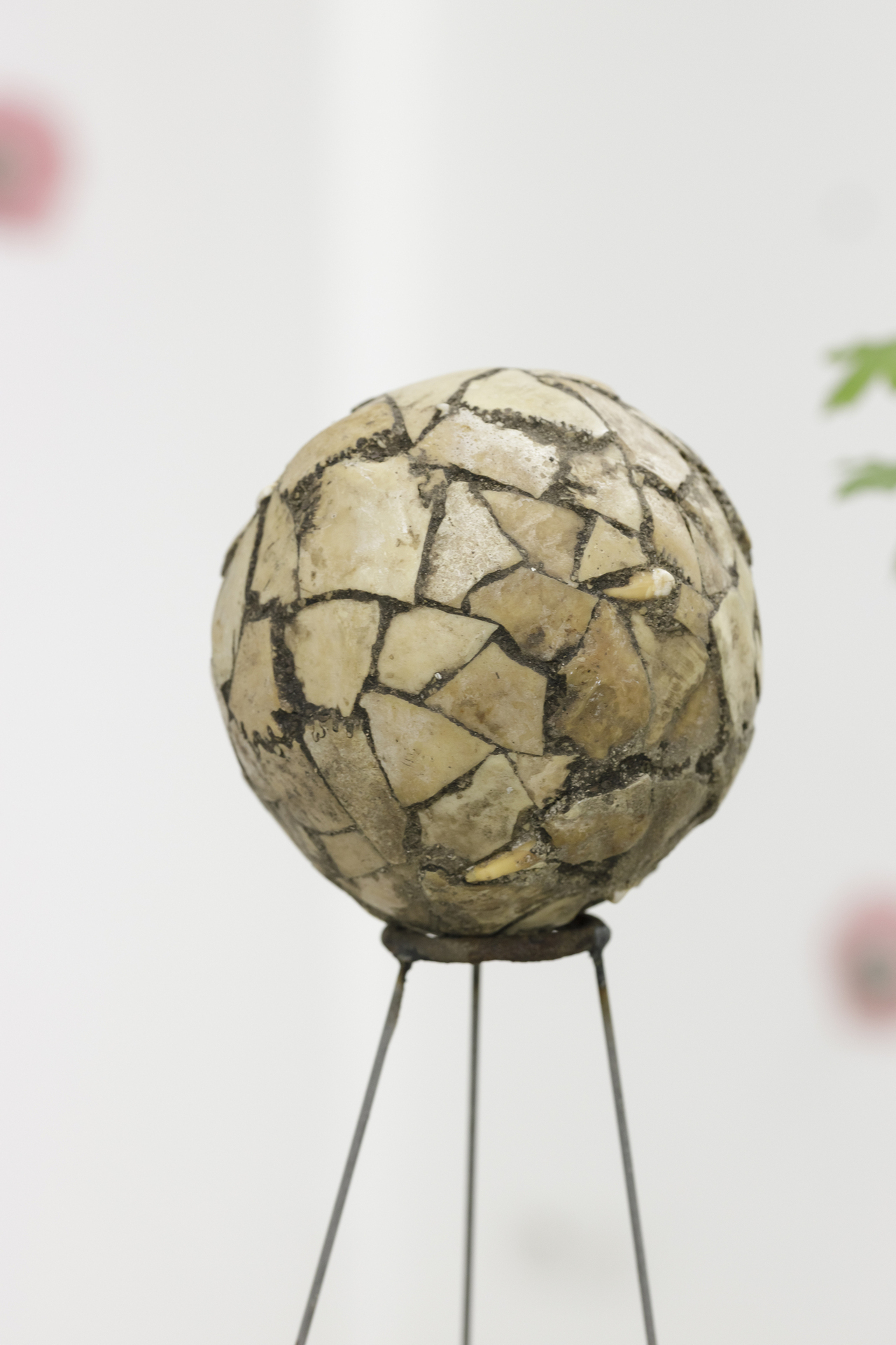 Michel Blazy and Enzo Mianes, 2021, 2021, human skull, hard drive, maple tree, metal, 50x50x140 cm. Courtesy of In extenso. Picture: Ludovic Combe