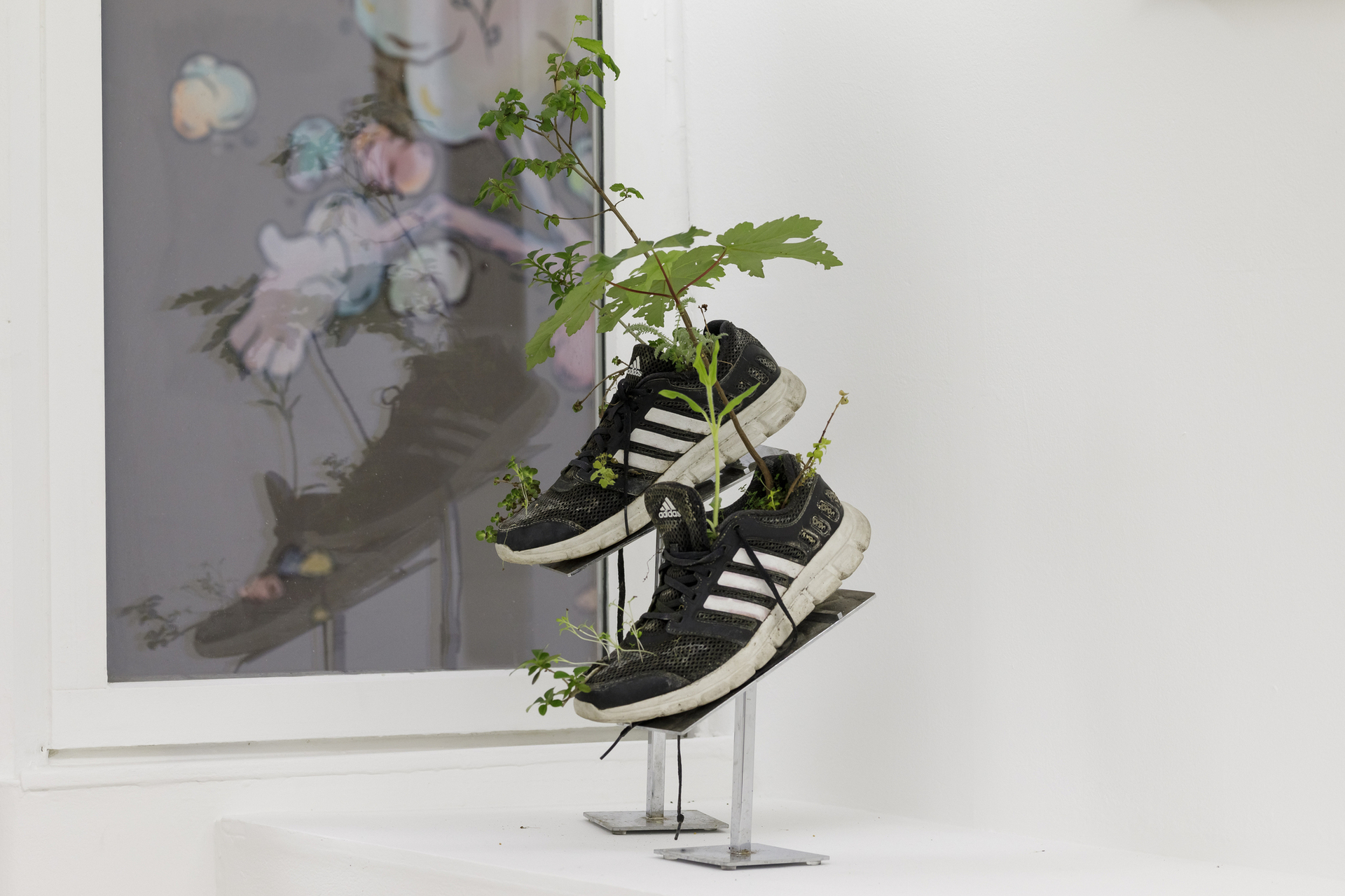 Michel Blazy, Paire de chaussures de sport, 2013, sport shoes, soil, maple trees, Helxine, herb-Robert, 40x30x60 cm. Courtesy of In extenso. Picture: Ludovic Combe