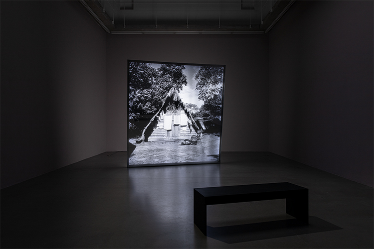 Willem de Rooij, Pierre Verger in Suriname , Installation shot Portik us, Frankfurt am Main, 2021. Image : Diana Pfammatter